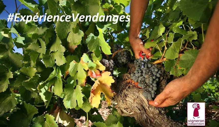 Salon des Vins des Vignerons Indépendants