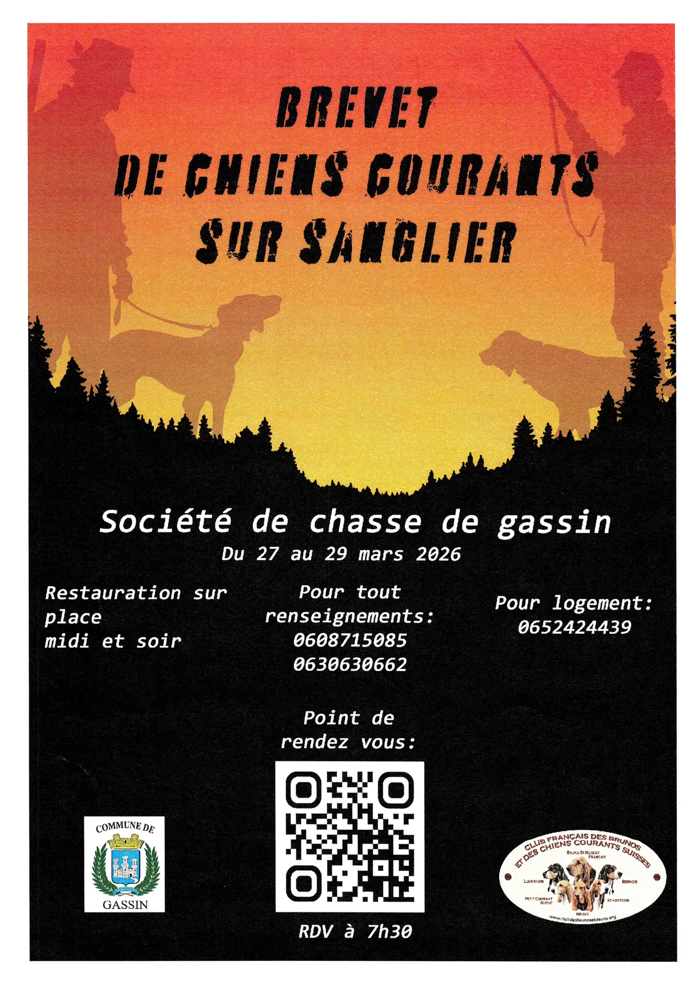 Brevet de chiens courants sur sanglier