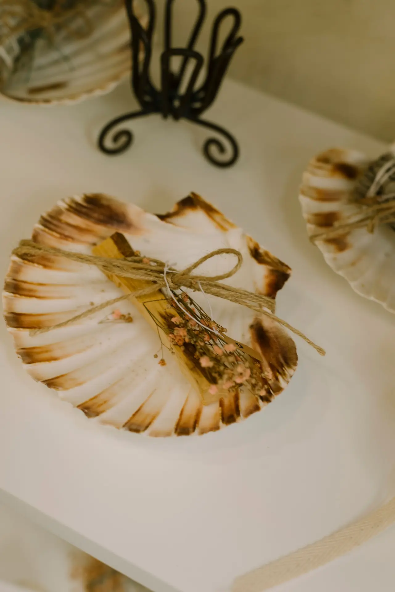 Décoration - Coquille Saint Jacques