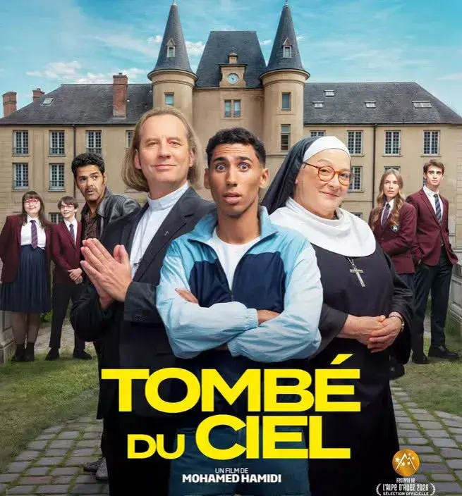 Affiche Tombé du ciel