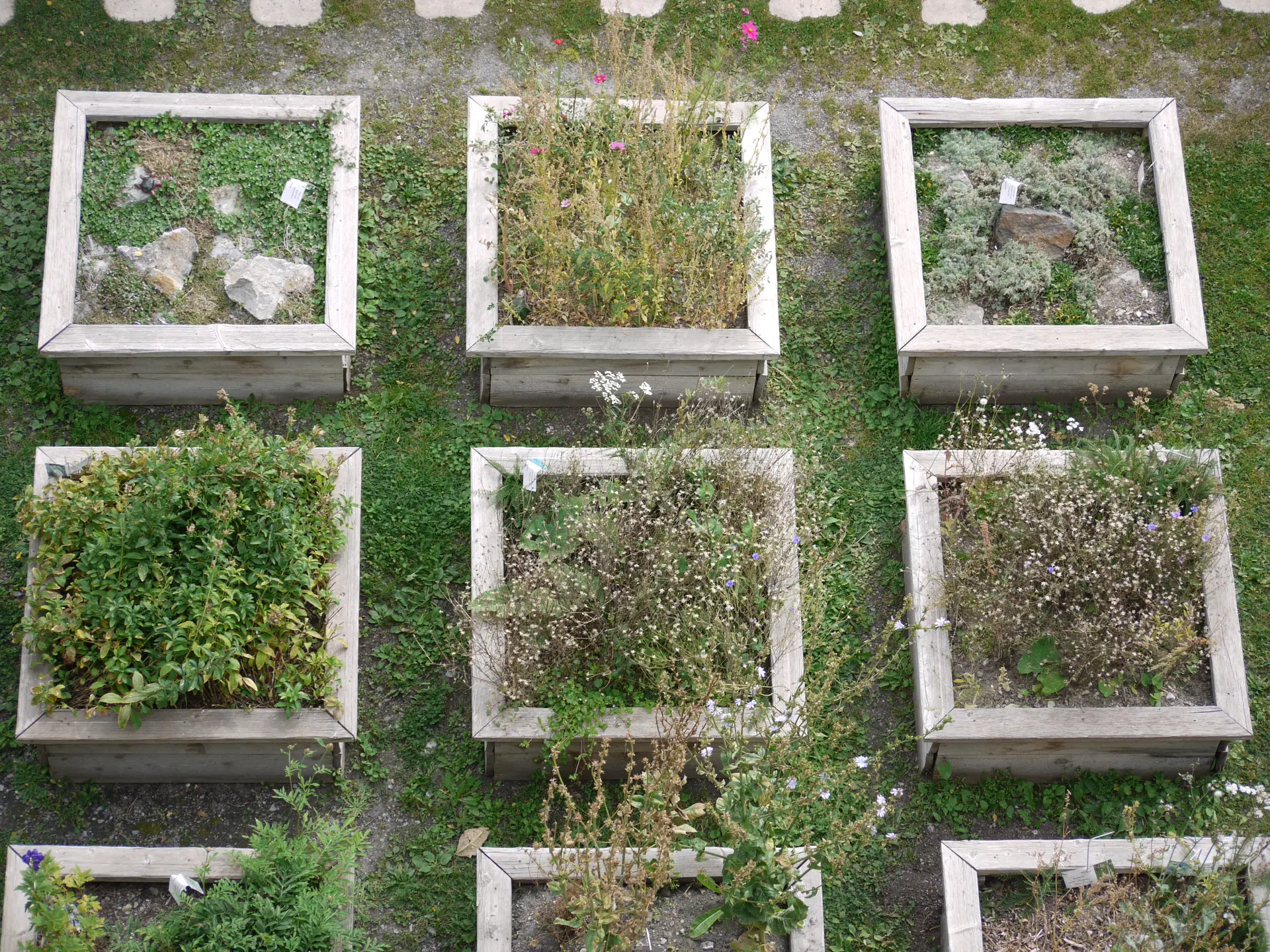 Jardin du Gouverneur