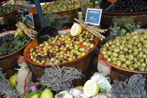 La Provence et Van Gogh