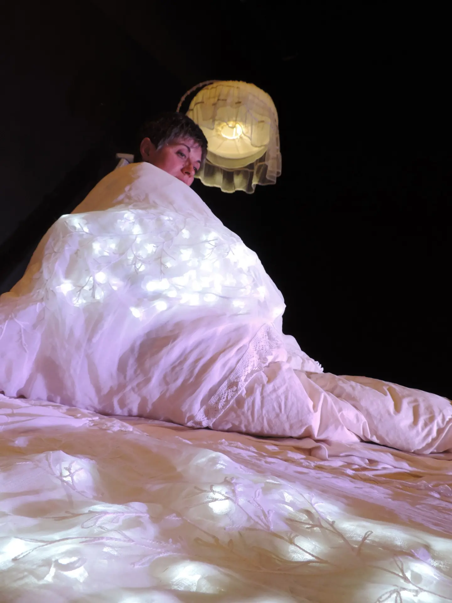 la lune la nuit Cie L'air de Dire