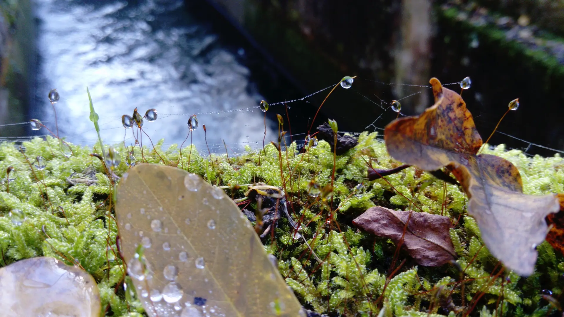 Immerssion sensorielle