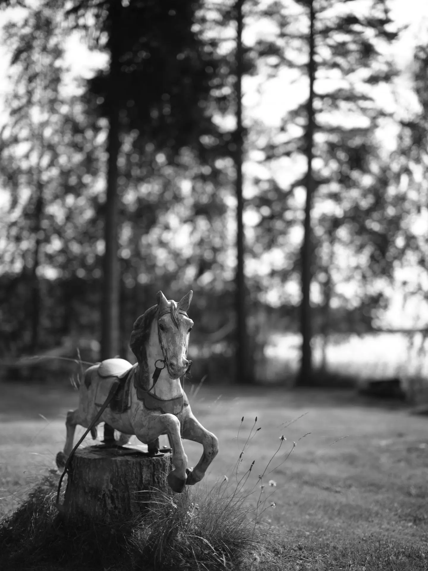 photo n&b d'un cheval de bois
