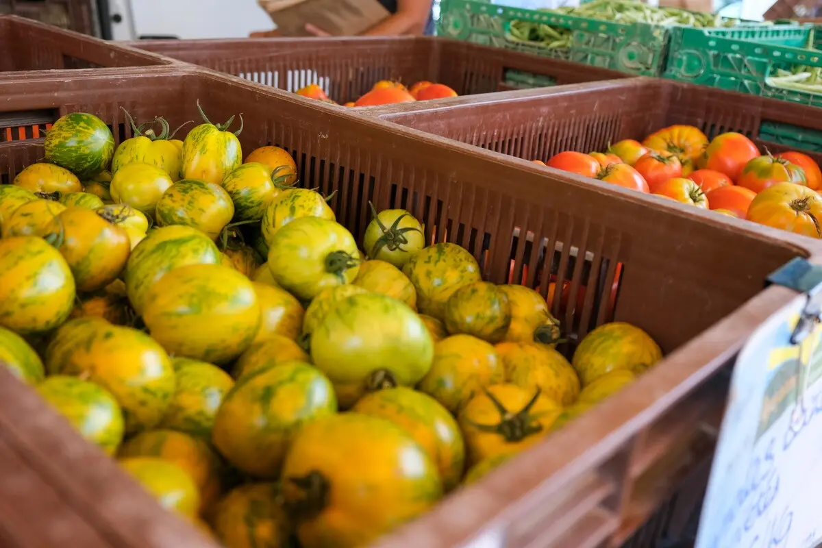 Marché de producteurs des allées de l'Oulle_Avignon