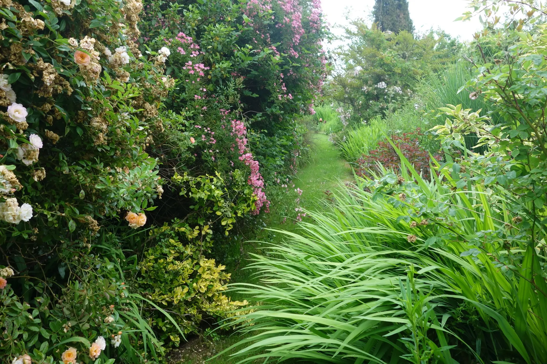 Jardin Clarisselles Auterive