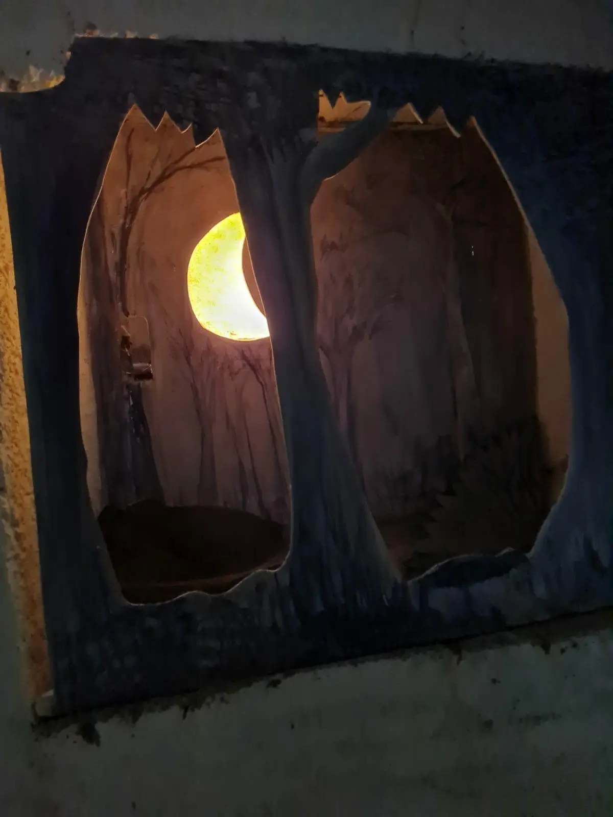 Exposition Les animaux, la nuit