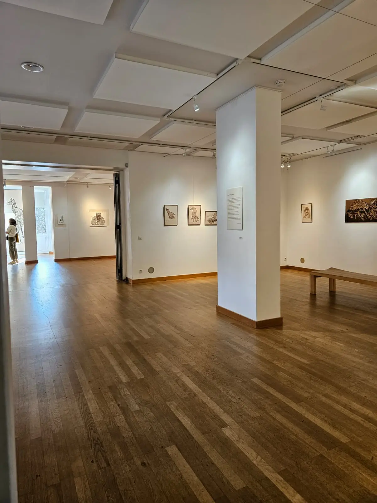 Plan large de l'exposition voilà pour l'entrelacs.