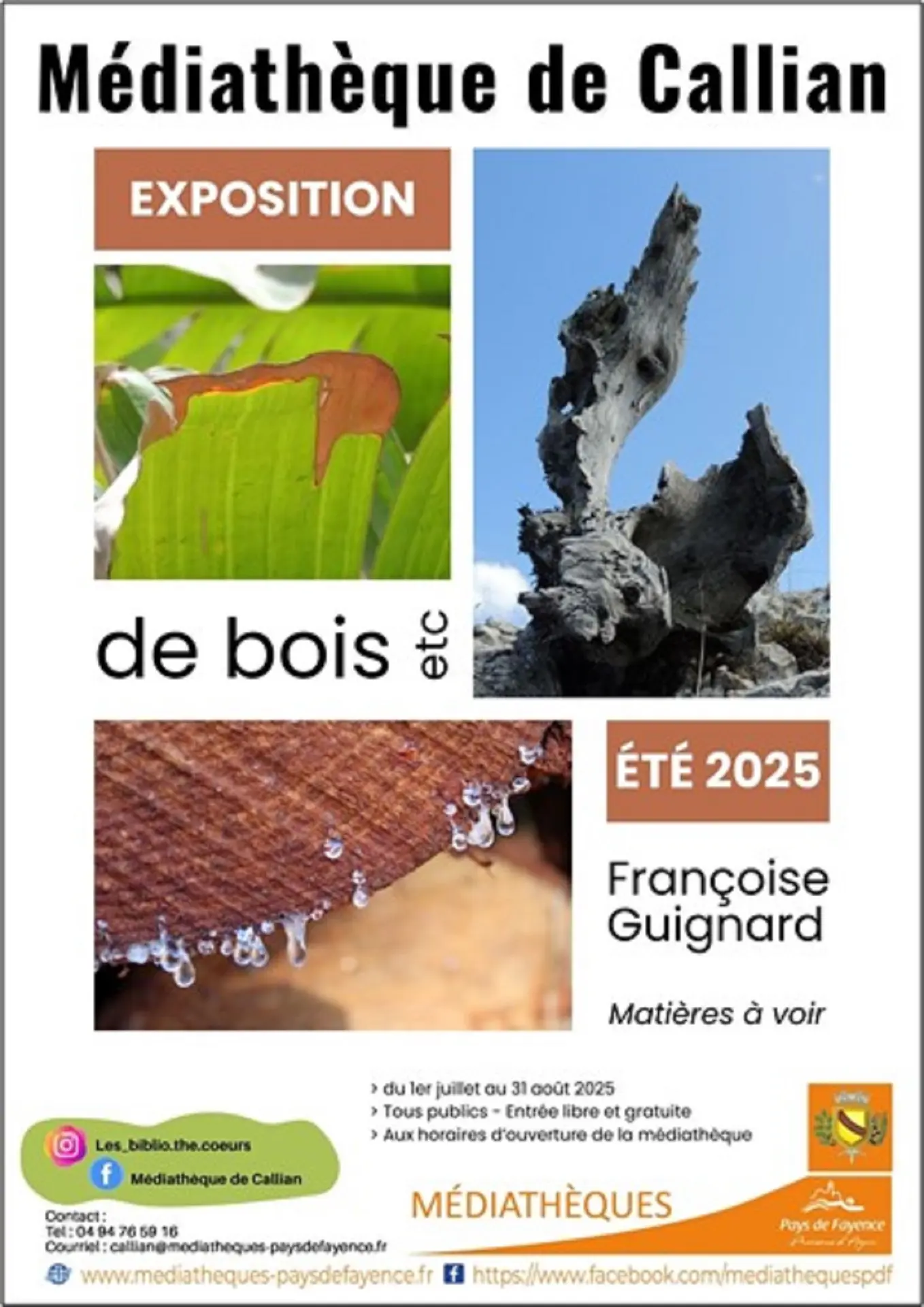 Expo bois Françoise Guignard