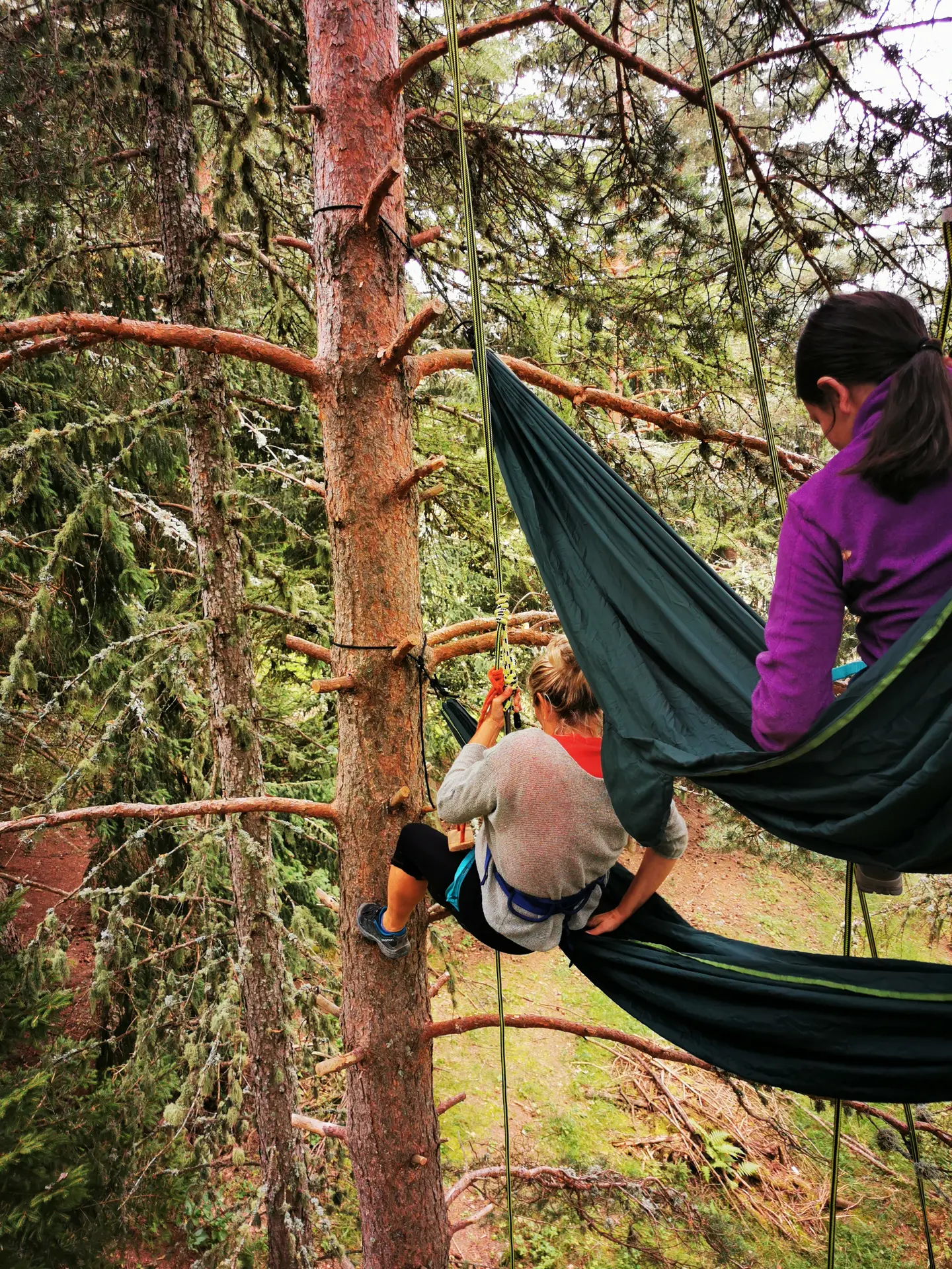 Relaxation dans les arbres