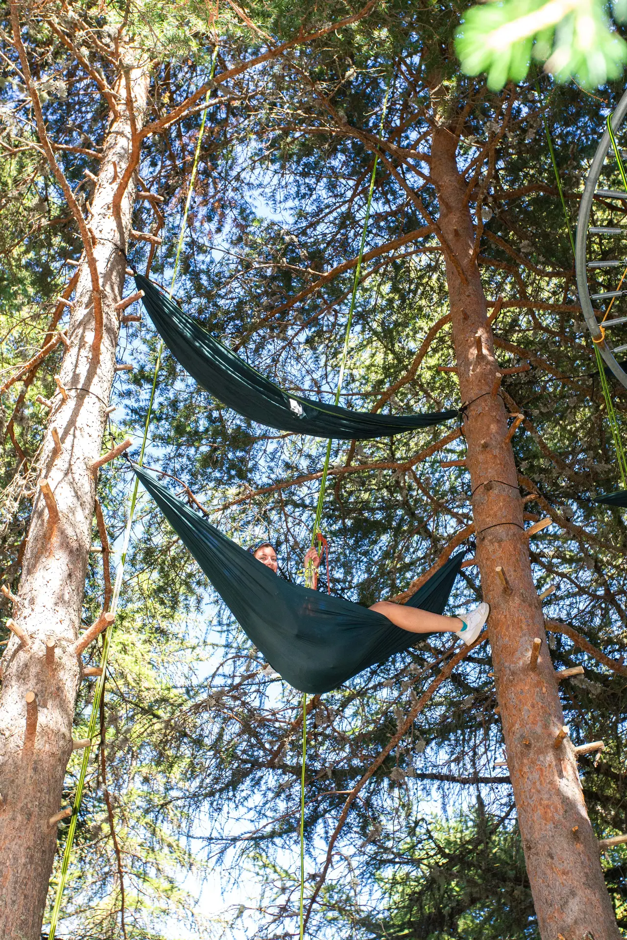 Relaxation dans les arbres