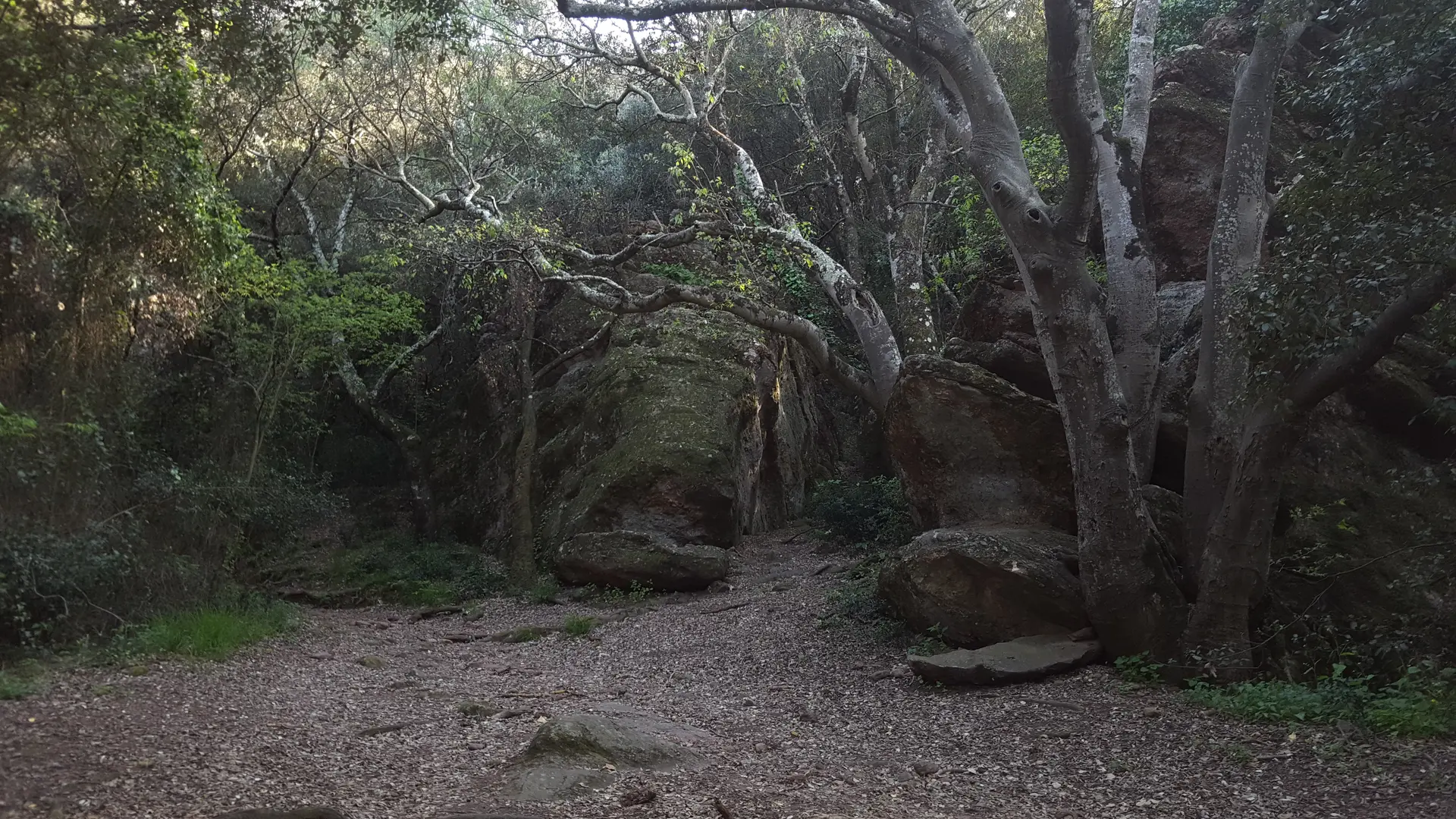 Domaine de la Roquette