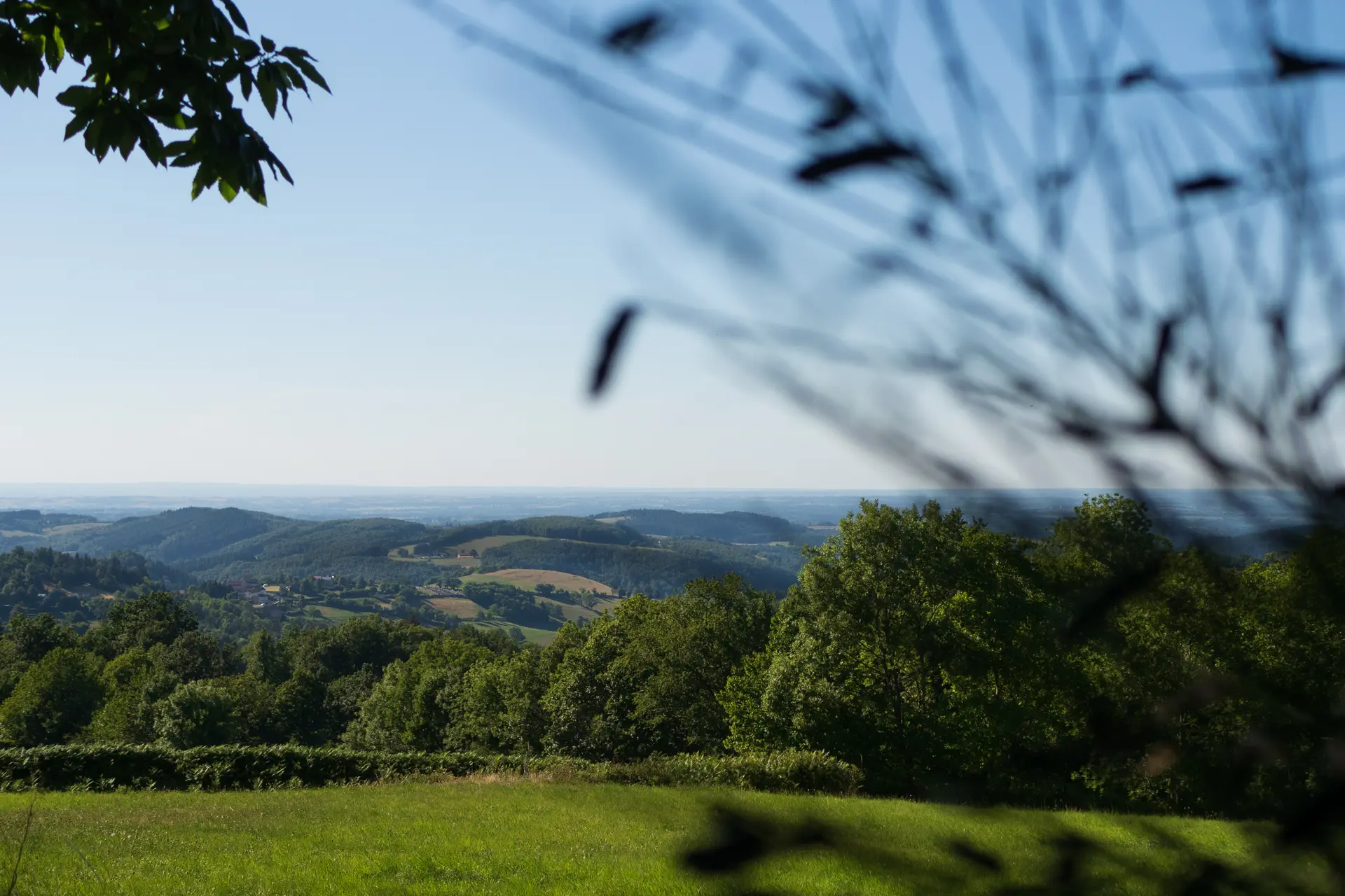 Paysage