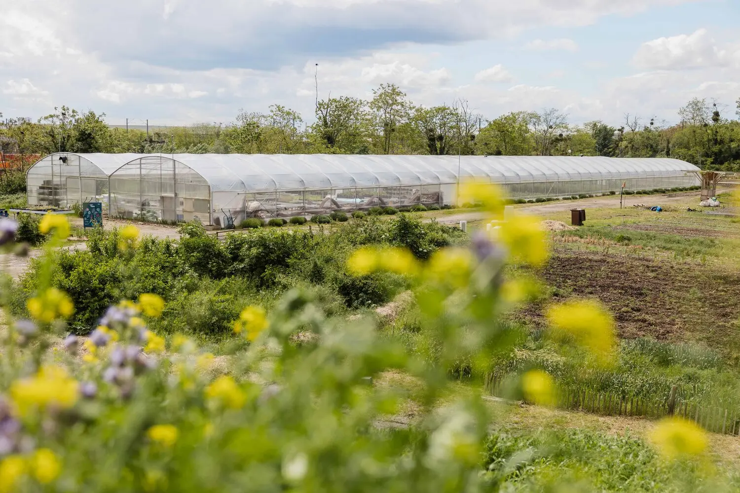 Lil’Ô, friche industrielle en reconversion écologique !