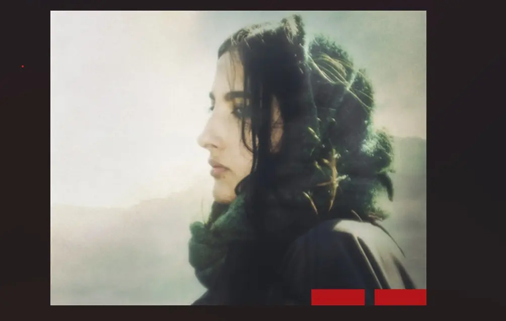 Concert d'Asinine à l'Affranchi