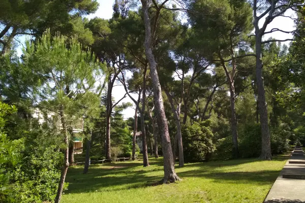 Balade guidée dans l'étonnant Parc du Roy d'Espagne