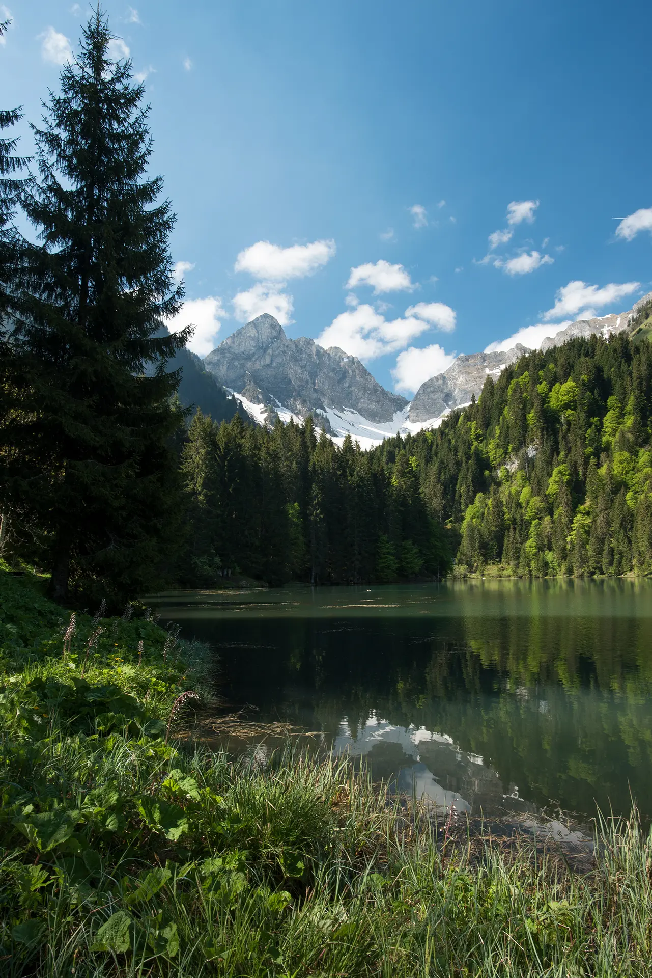 Lac des Plagnes