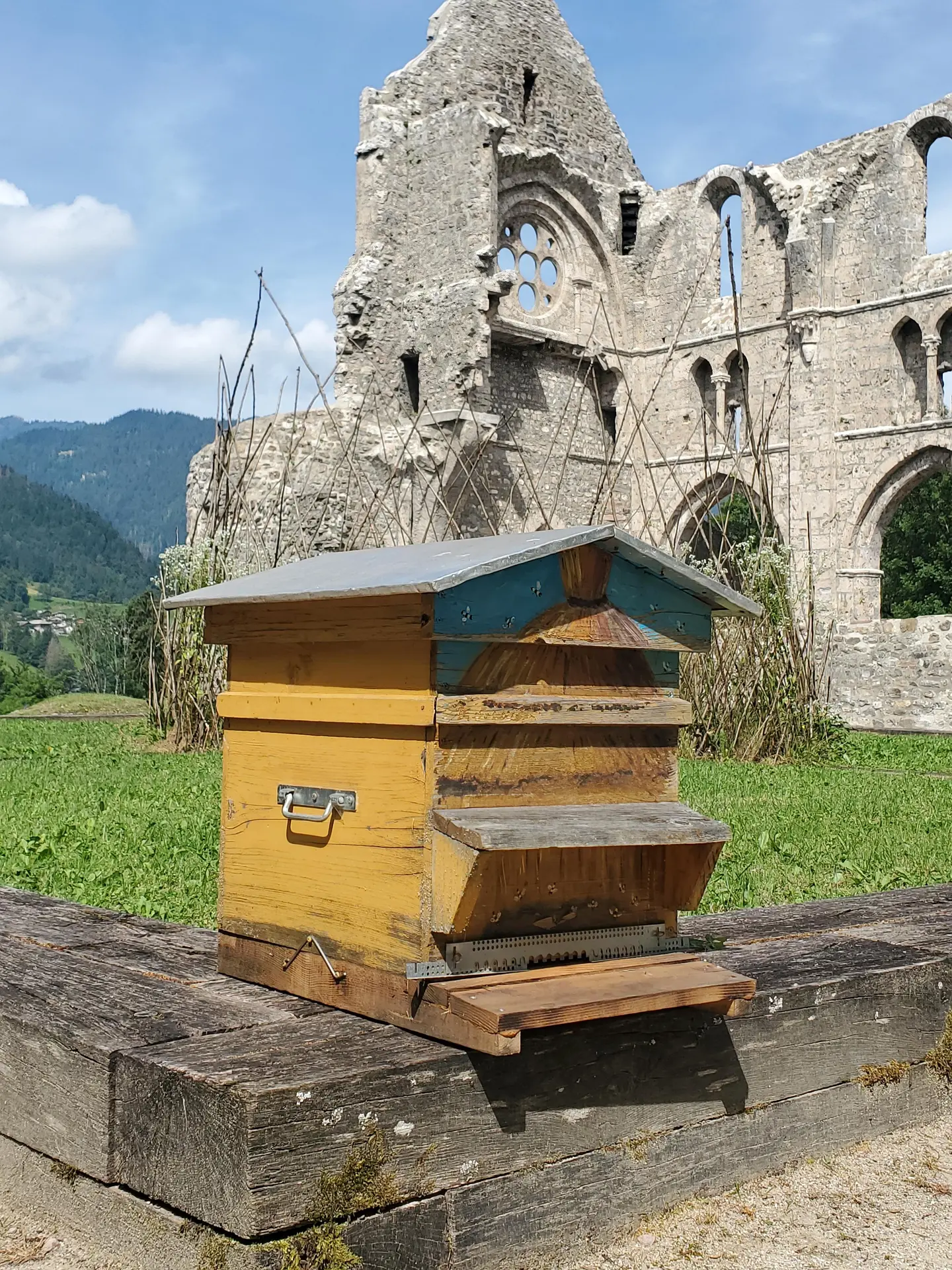 Fête du Miel et de l'Abeille  2024