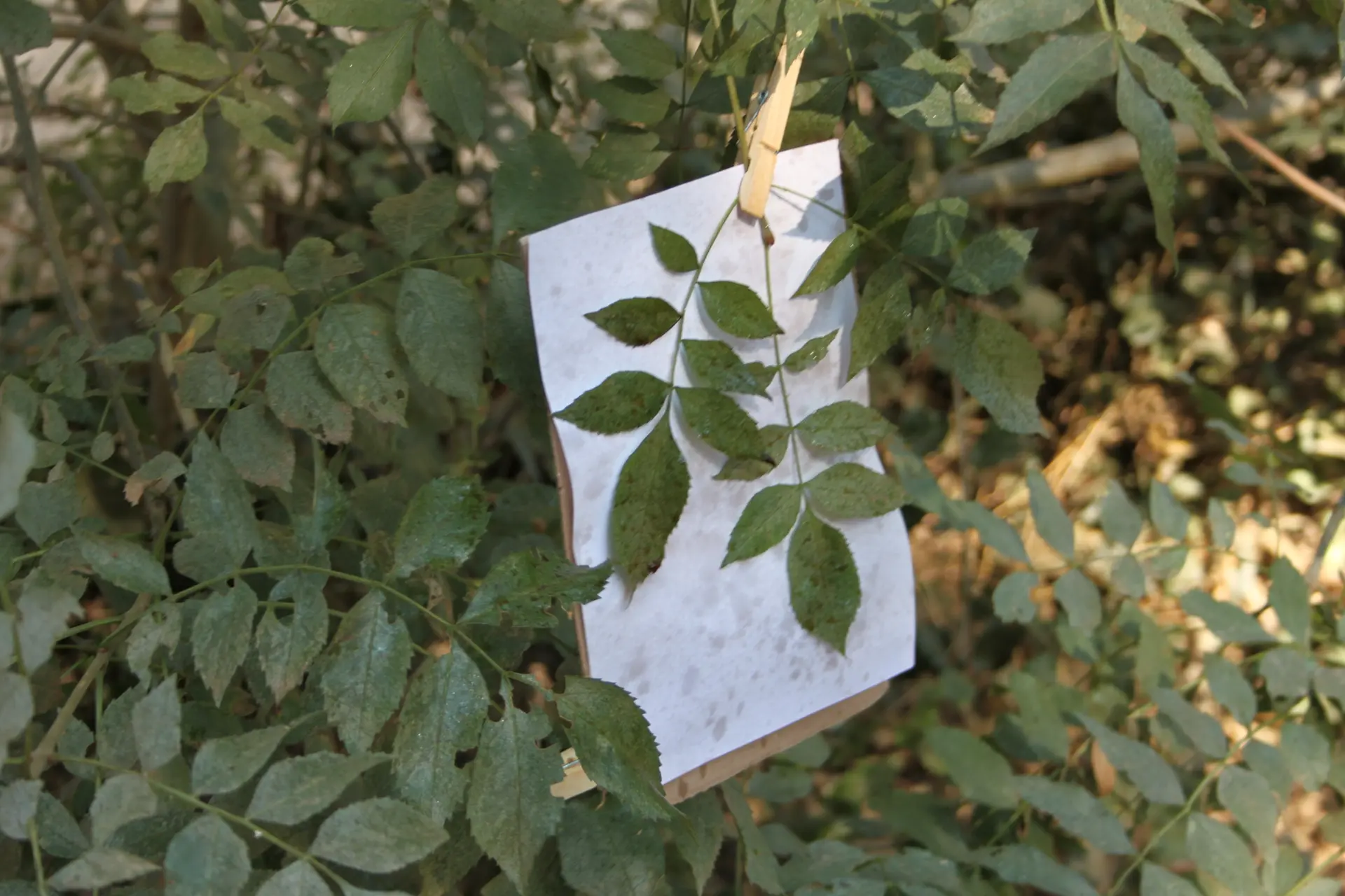 Visite ludique et scientifique avec Sorciences