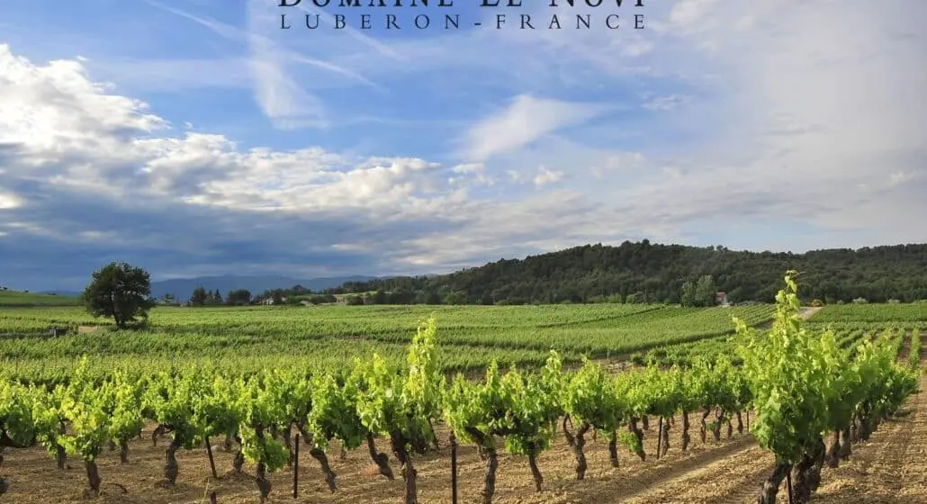 Domaine Le Novi