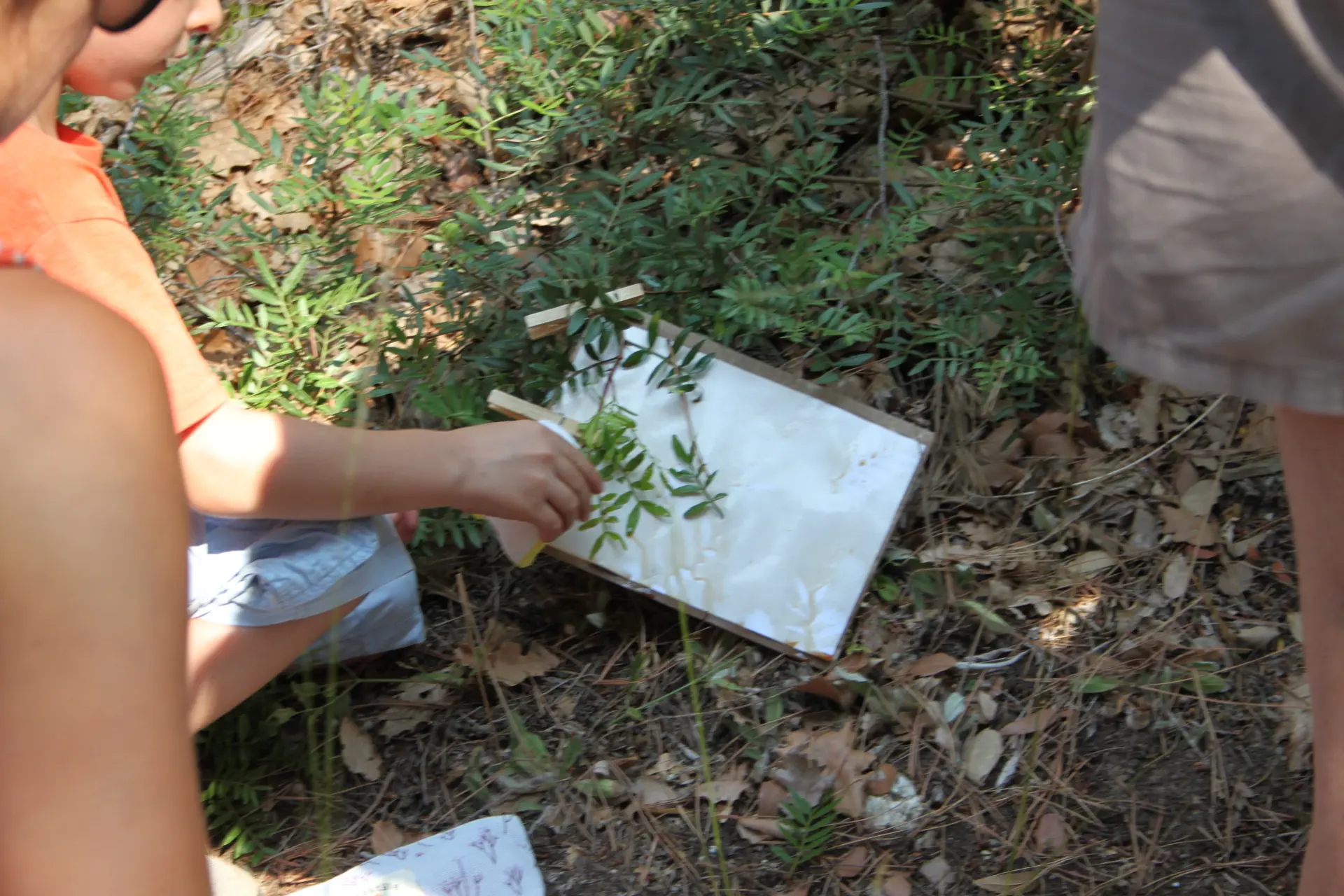 Visite ludique et scientifique avec Sorciences