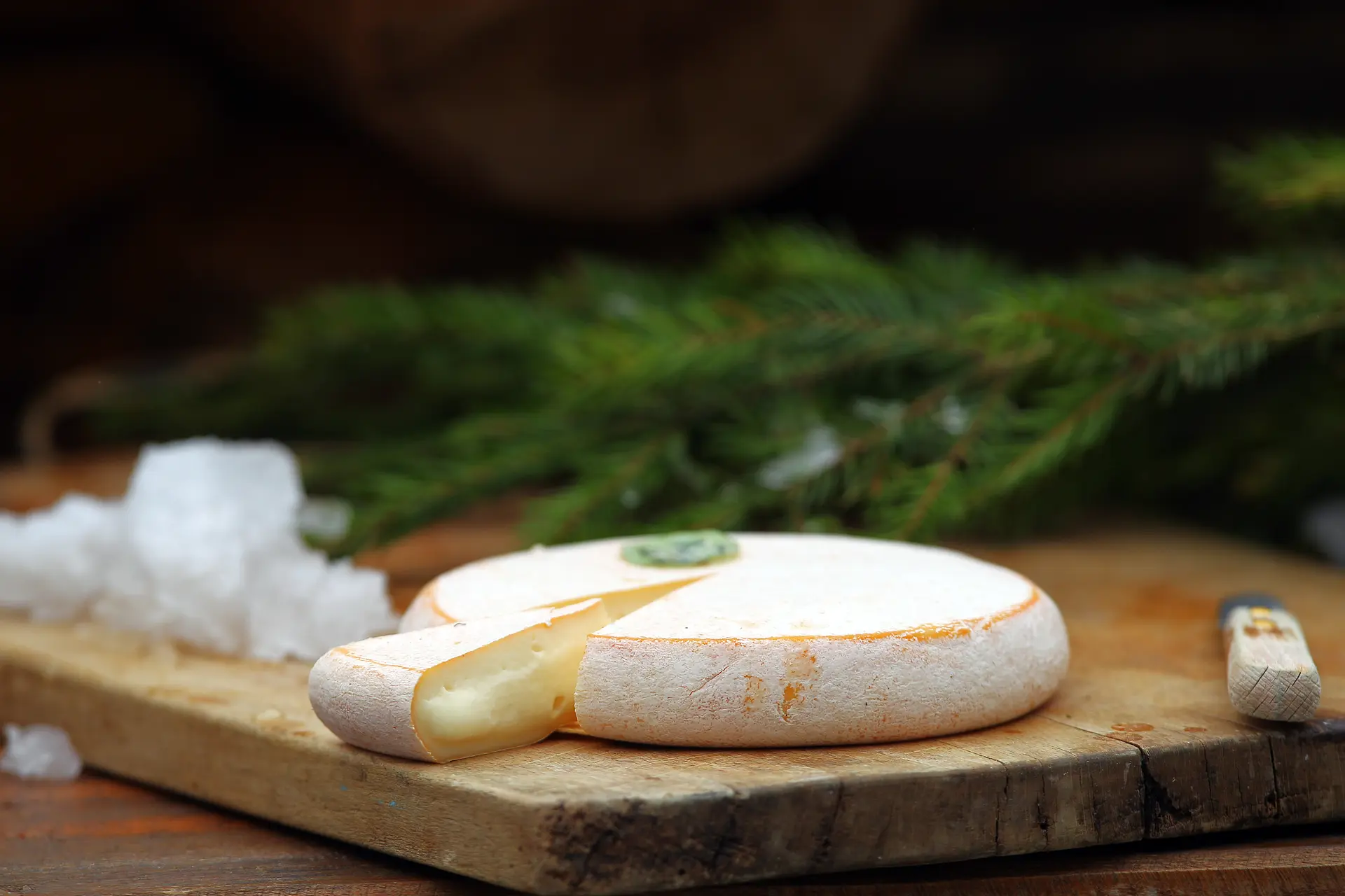 dégustation reblochon fermier