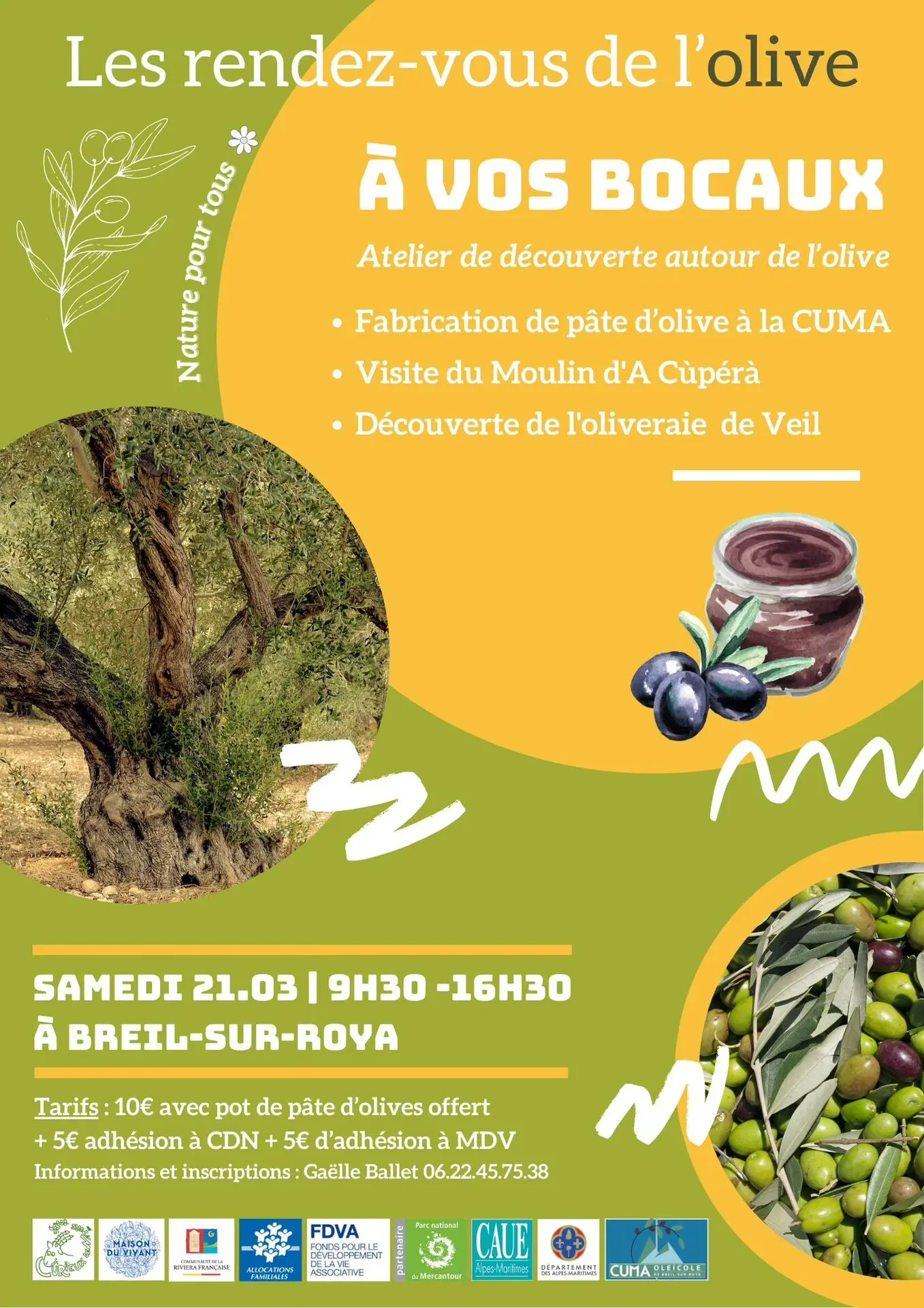 Atelier autour de l'olive