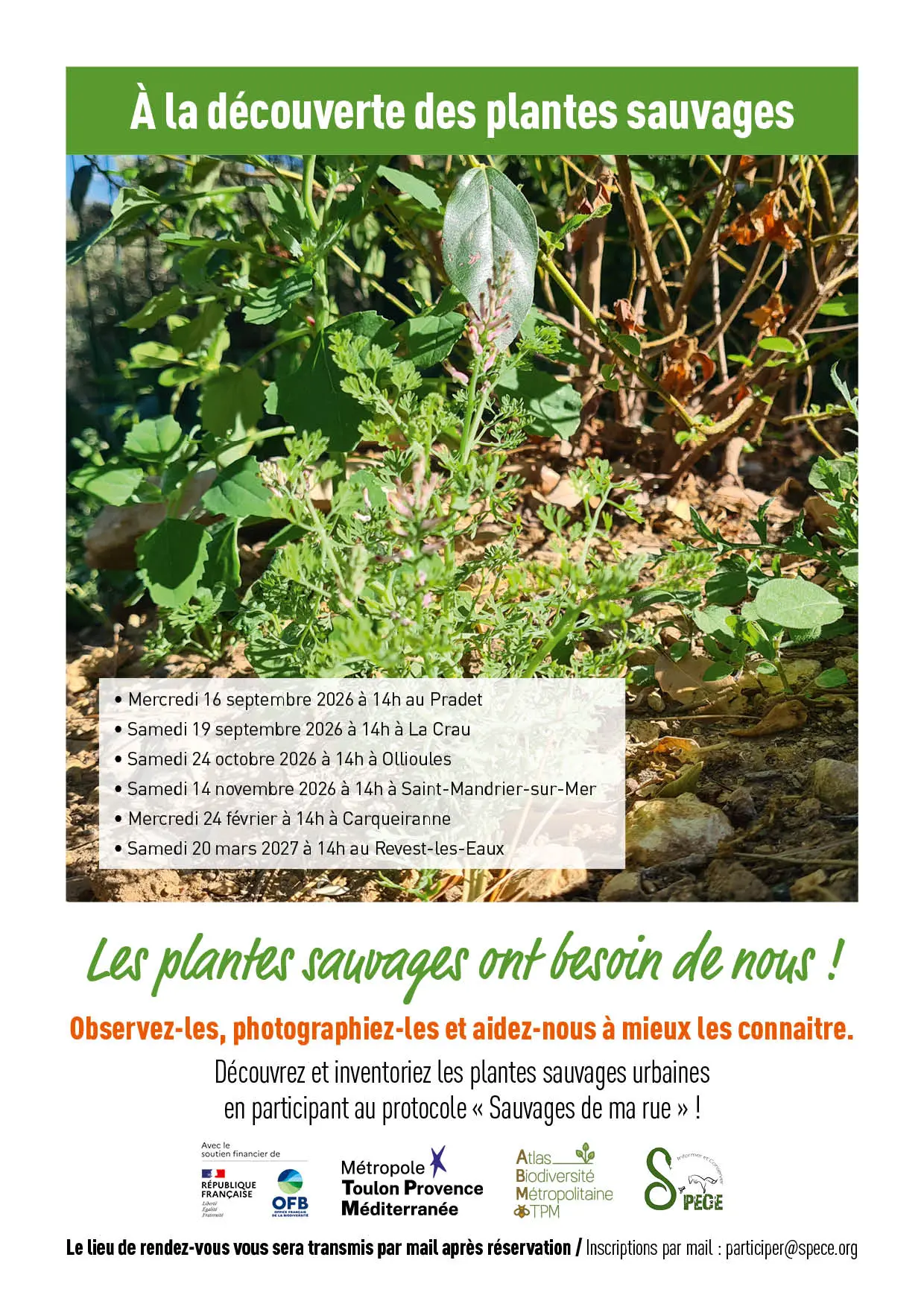 AFFICHES Découverte A4 V055