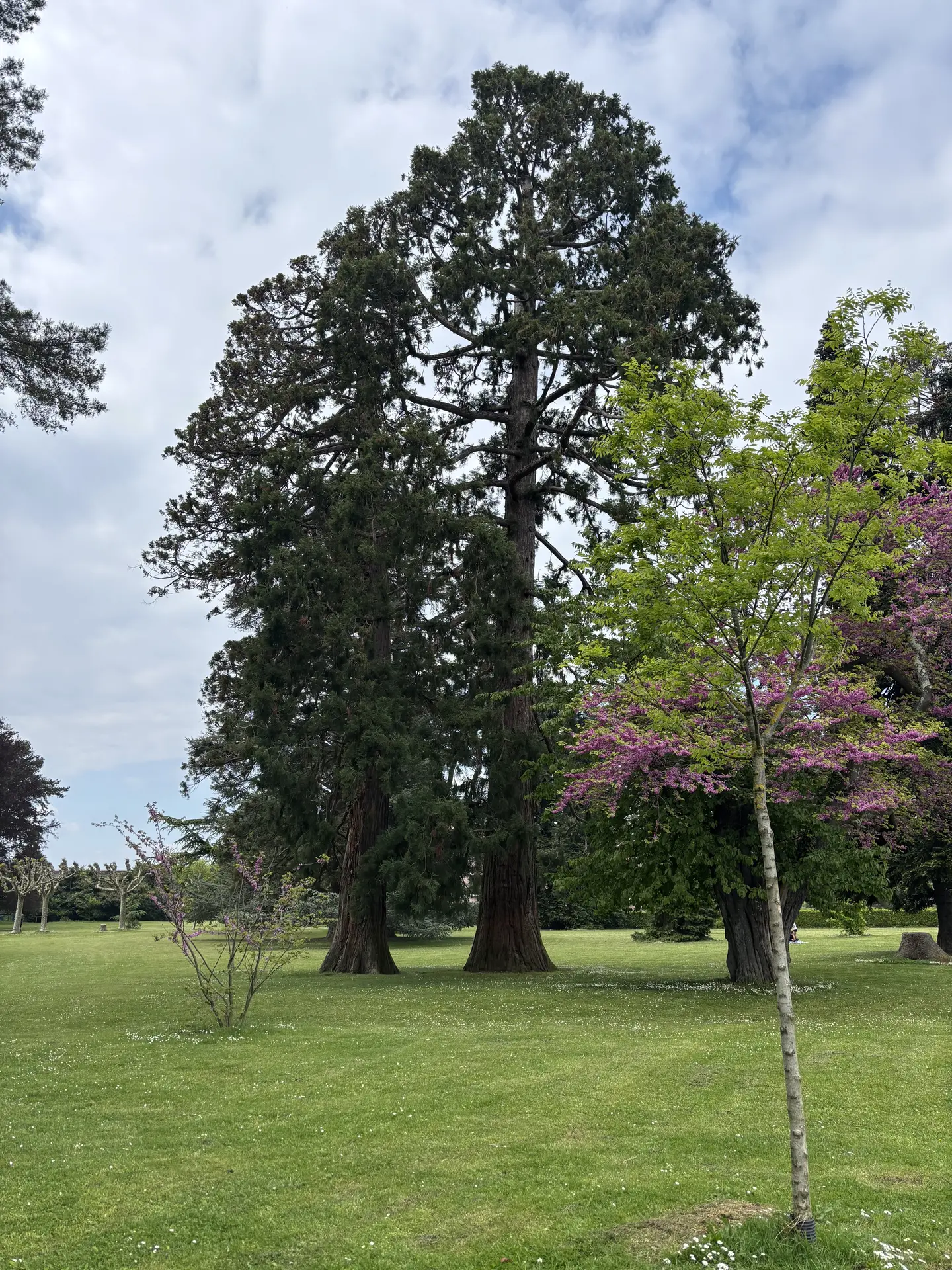 Visite au jardin des merveilles