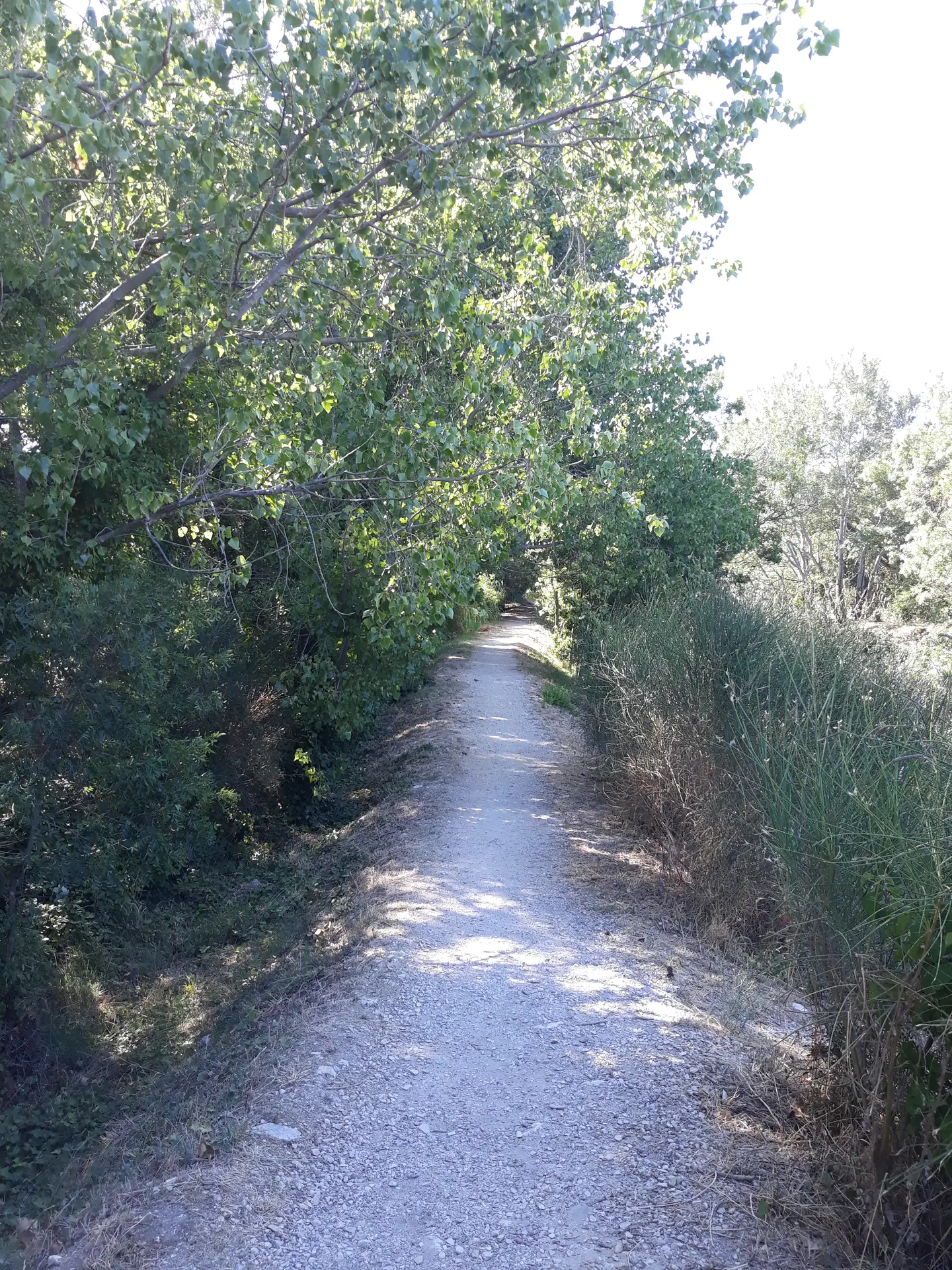 Chemin dei Cassaïre