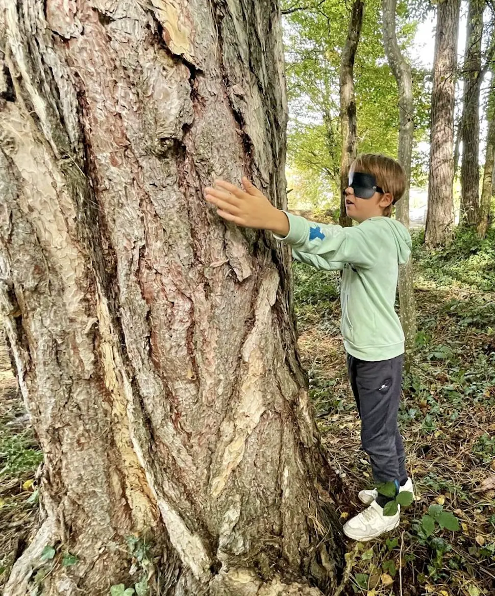 Découverte des arbres de plus près