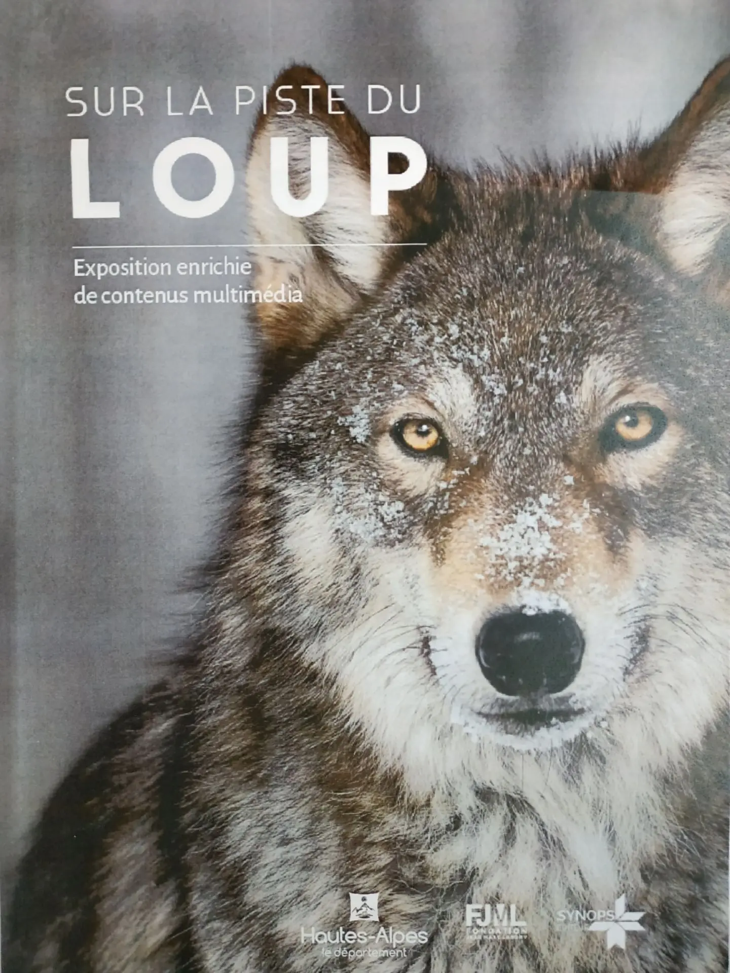 Affiche exposition Sur la piste du loup