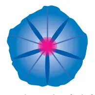 Logo Volubilis