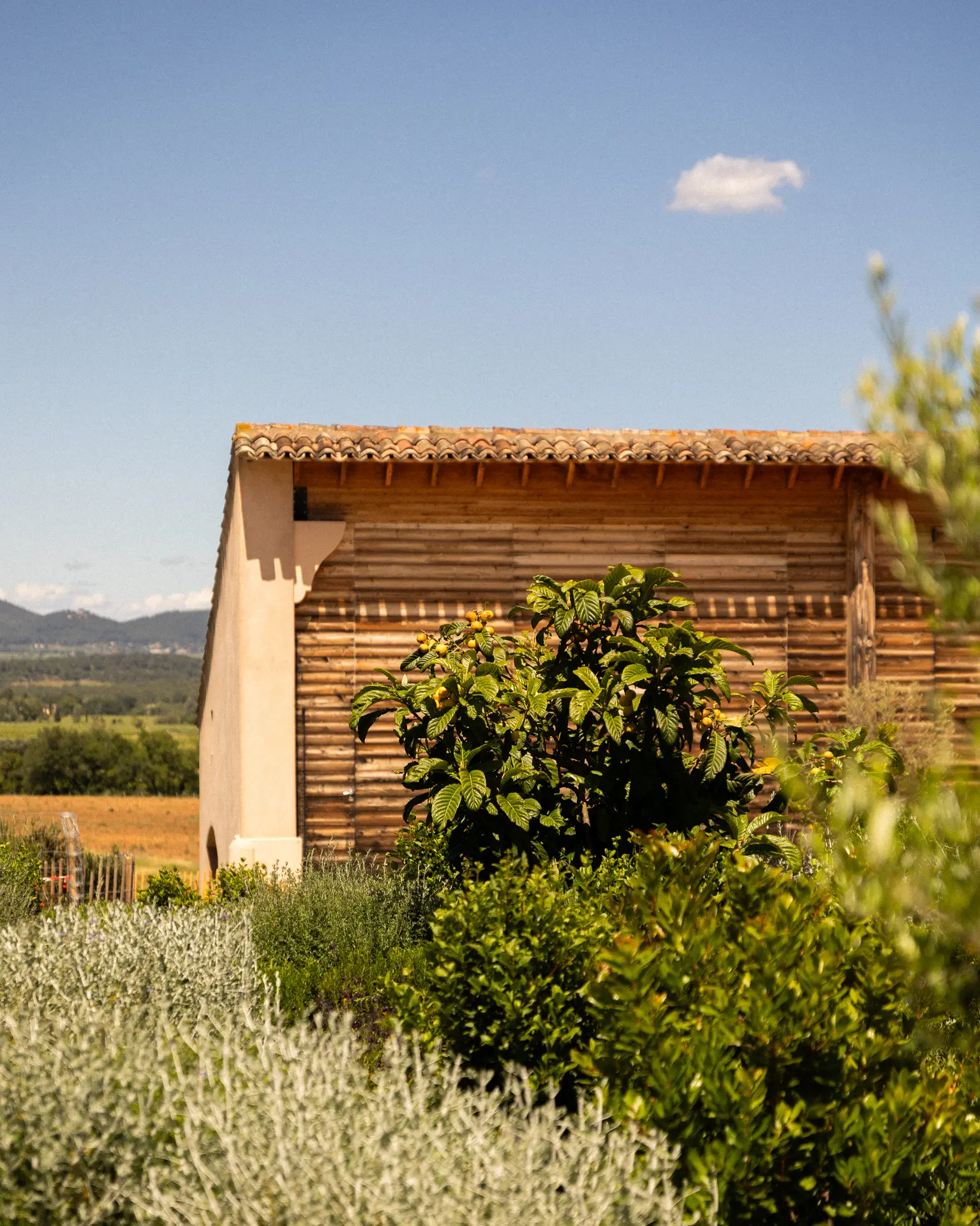 Vin et Energie au Château la tour de l'Evêque