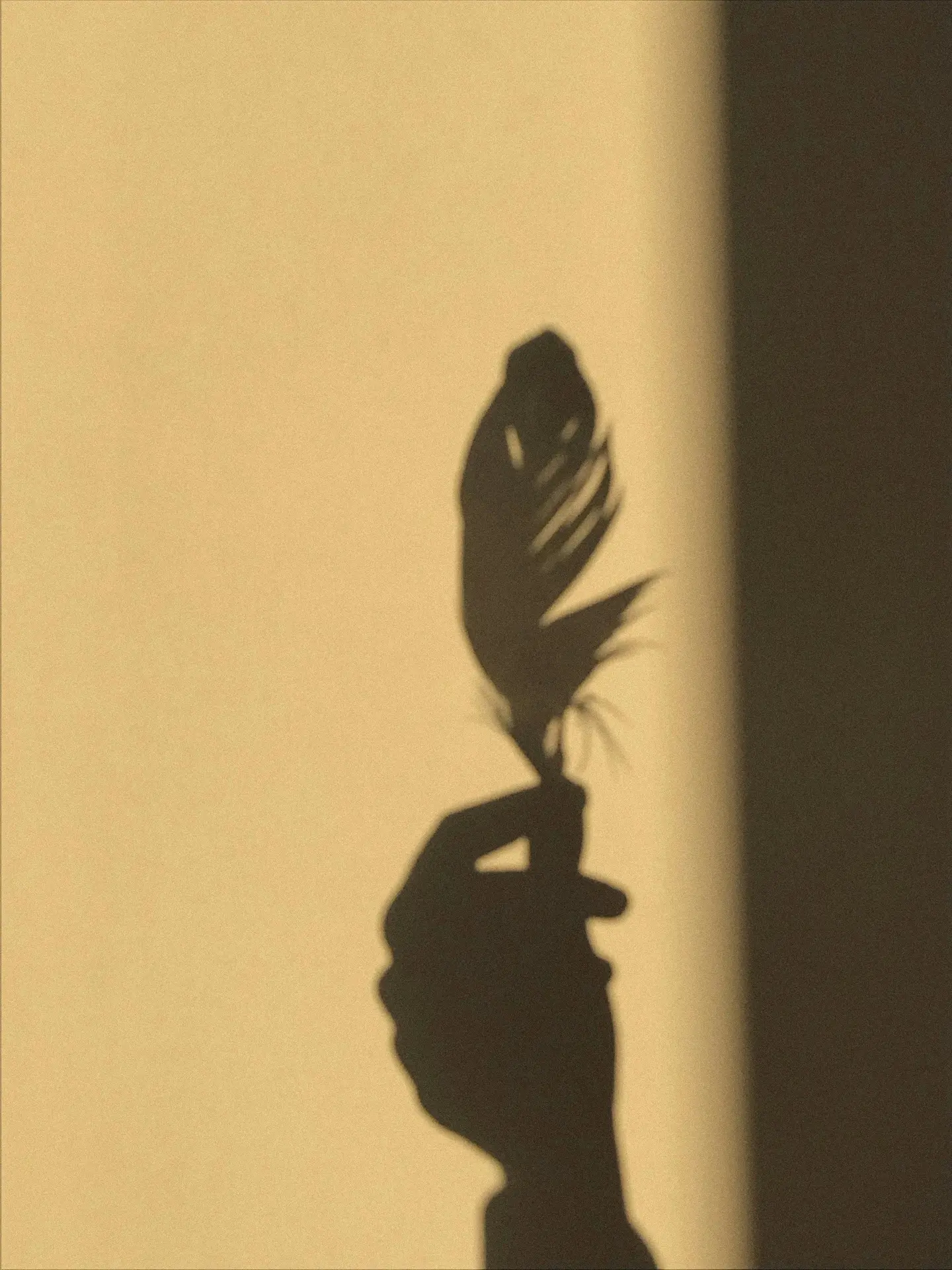 Plume ombre chinoise