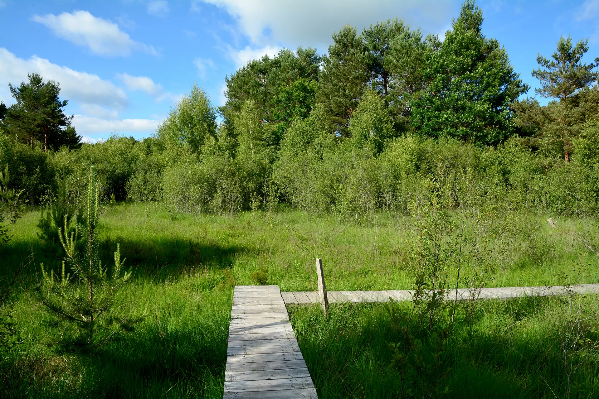 Le marais de Cassan