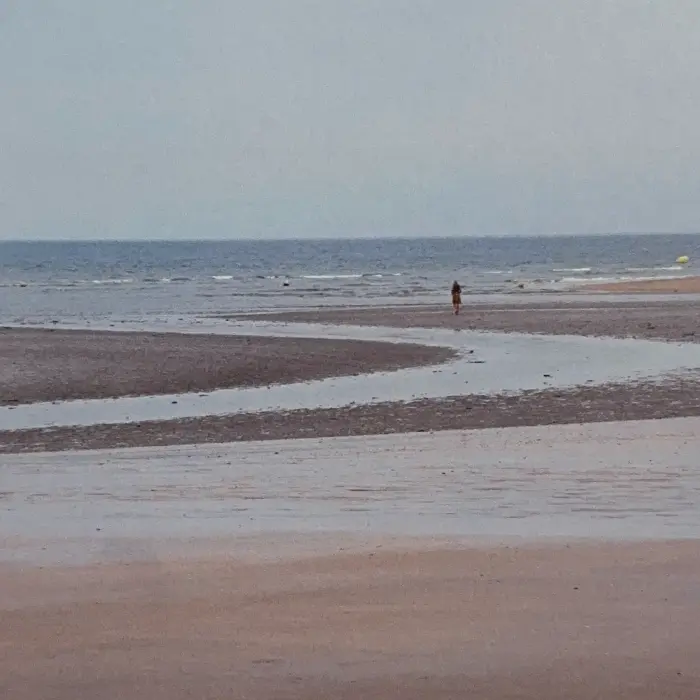 L’Homme atlantique précédé par Les mains négatives_Avignon