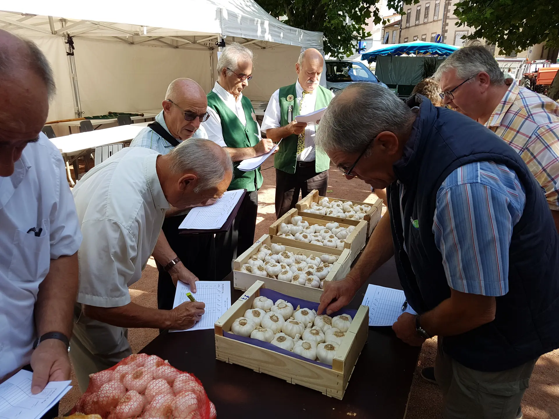 Concours de l'ail