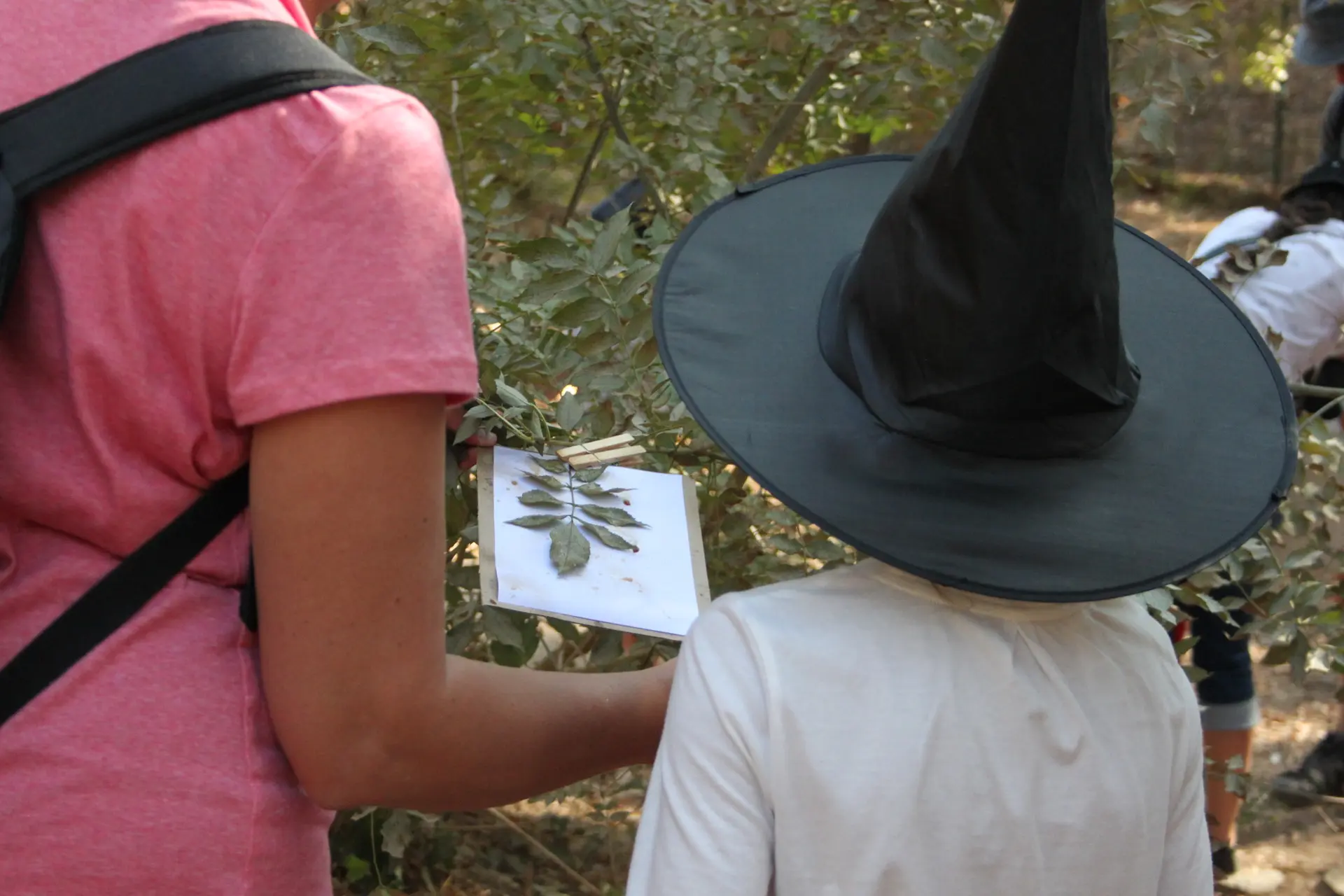 Visite ludique et scientifique avec Sorciences