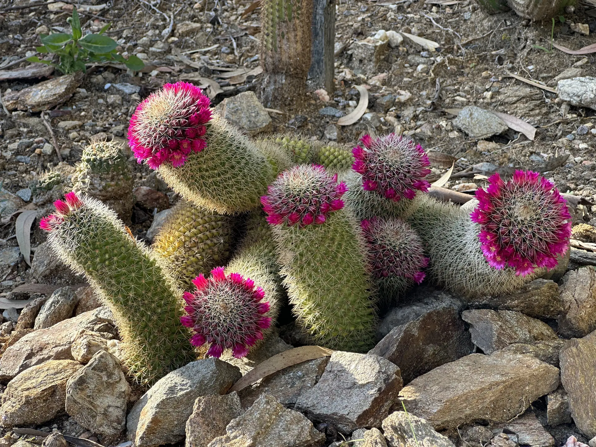 Rdv aux jardins 