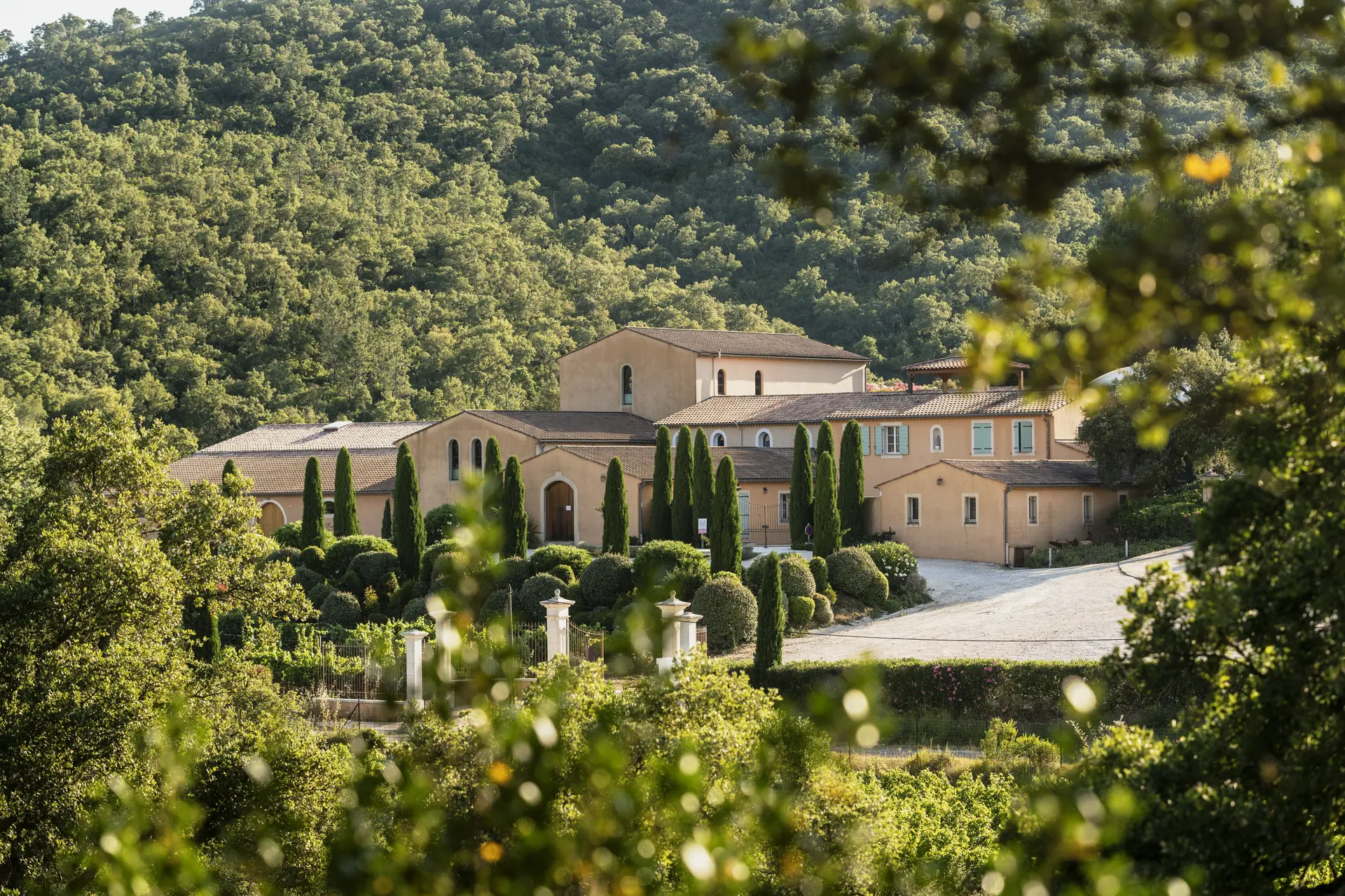 Visite de cave et dégustation au Château Pas du Cerf à La Londe les Maures