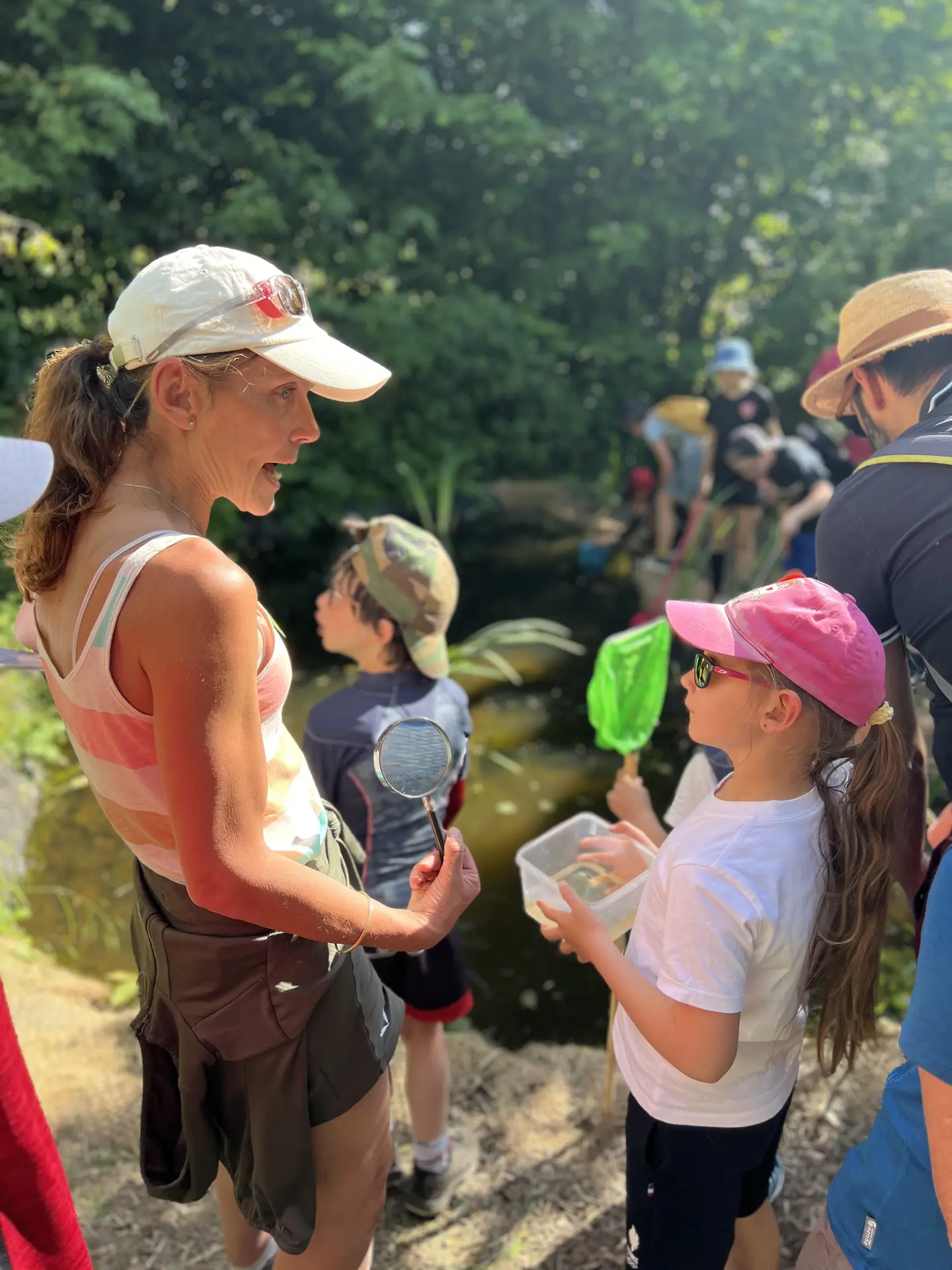 Observation du vivant