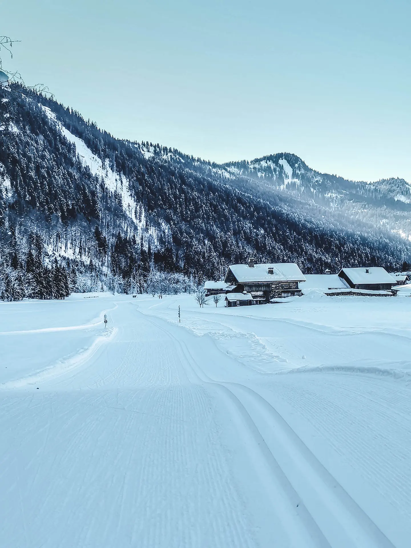 piste nordique damée