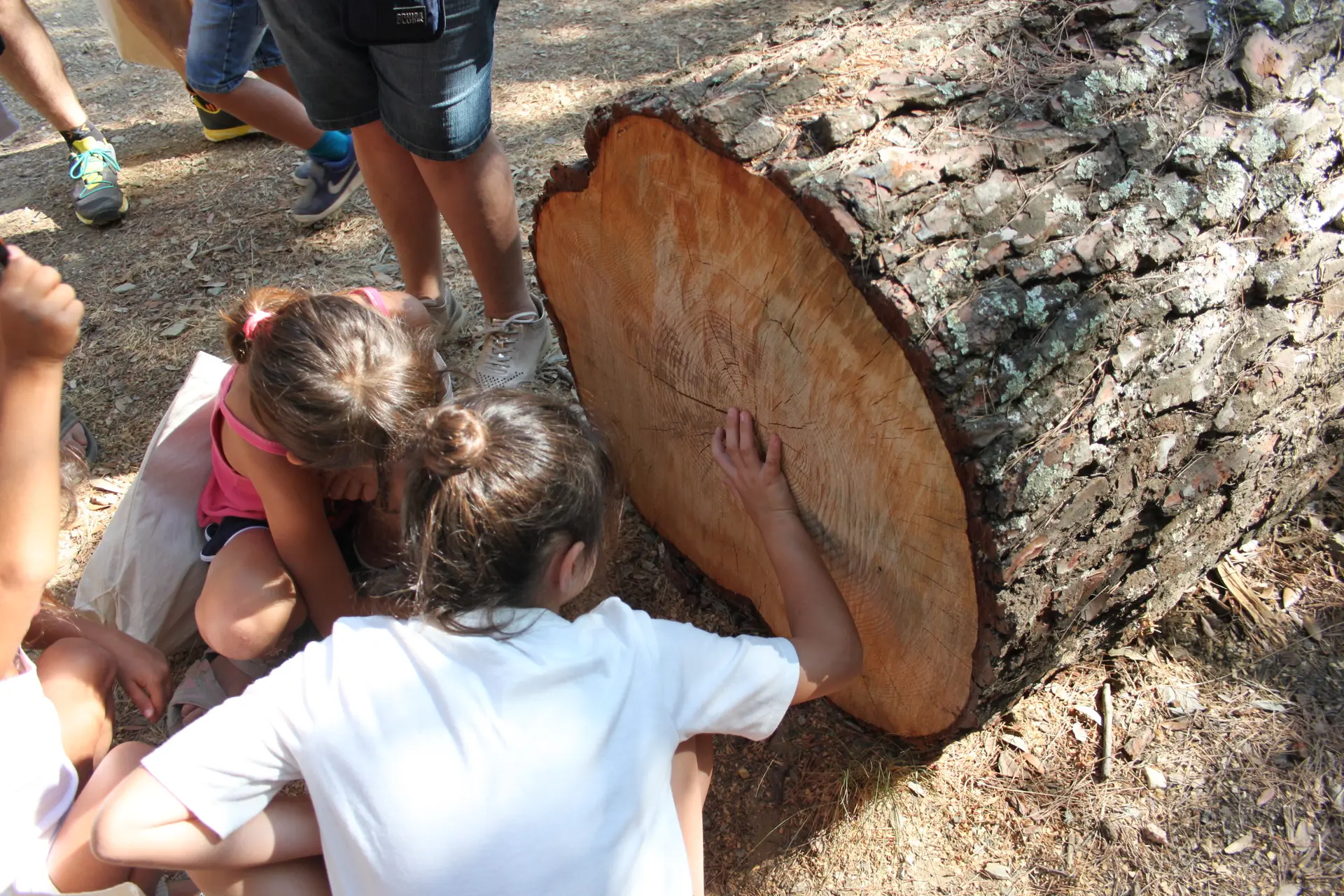 Visite ludique et scientifique avec Sorciences