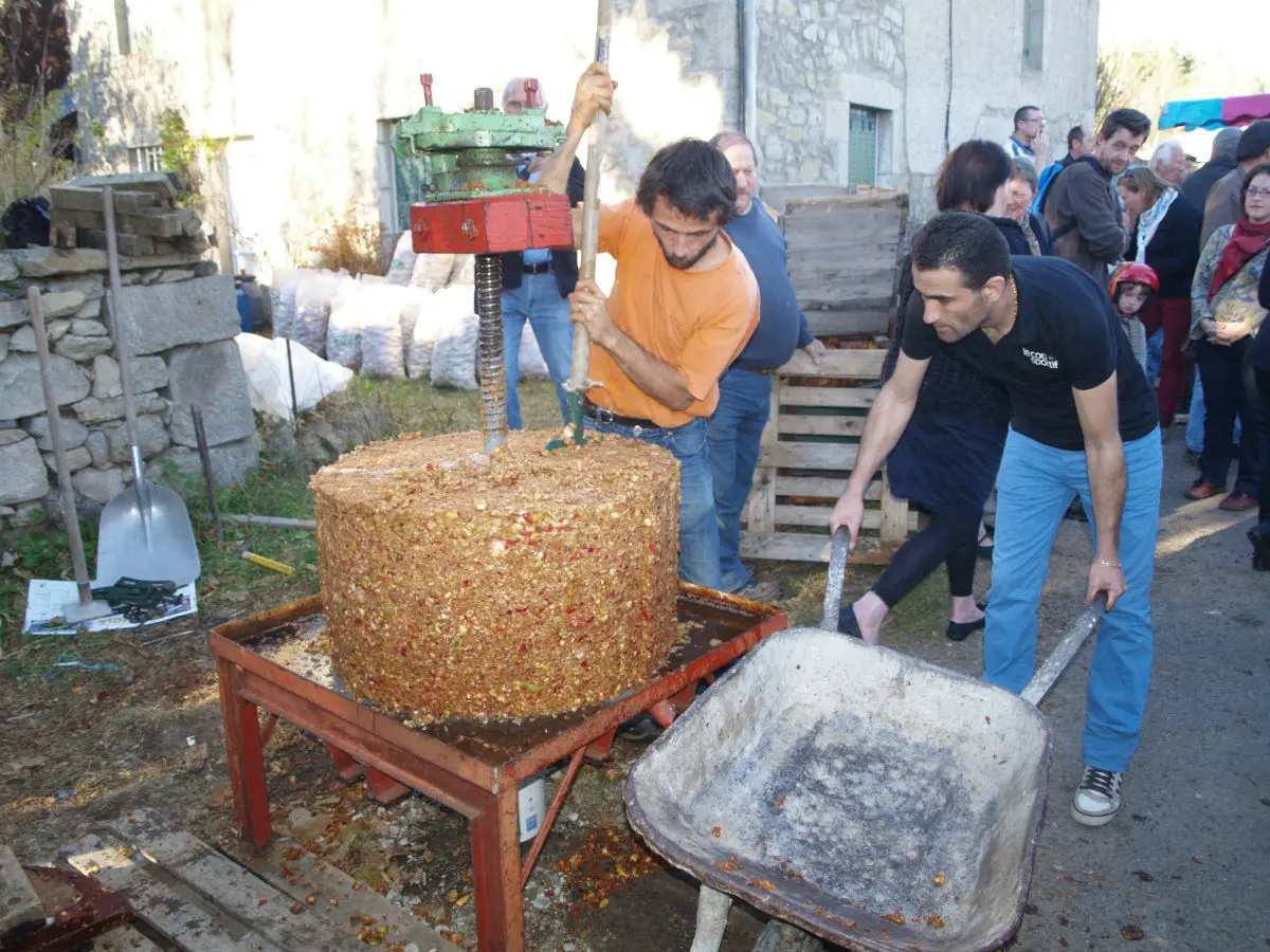 Fête du cidre_Malvières