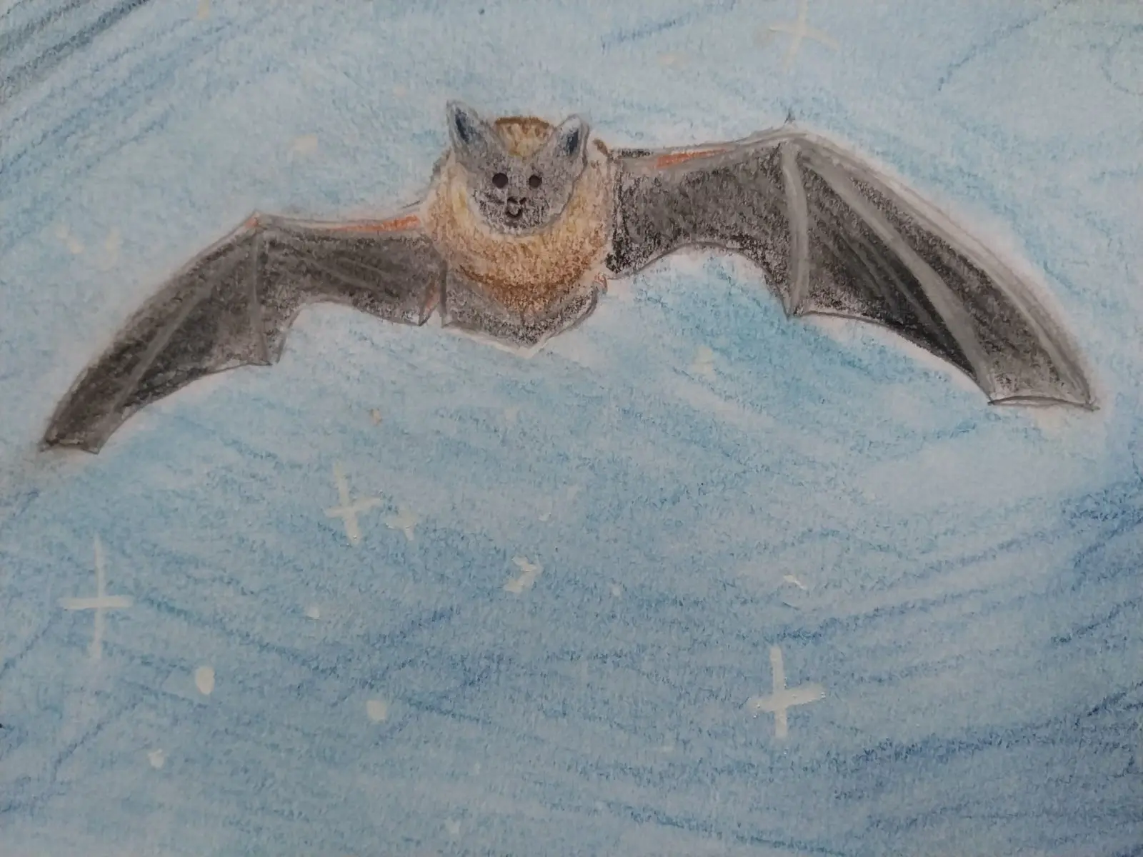 Dessin d'une chauve-souris en vol