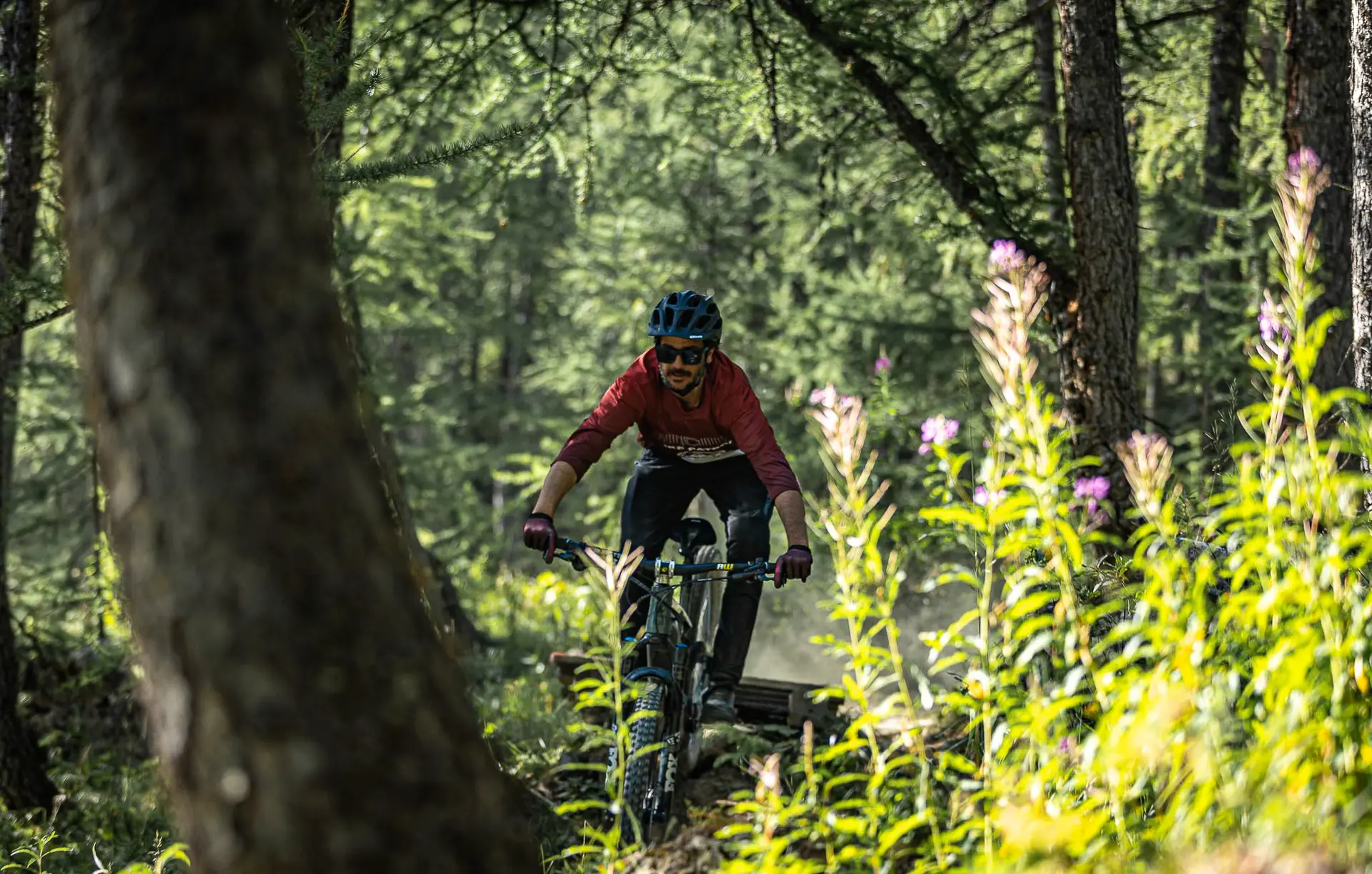 VTT bike Park