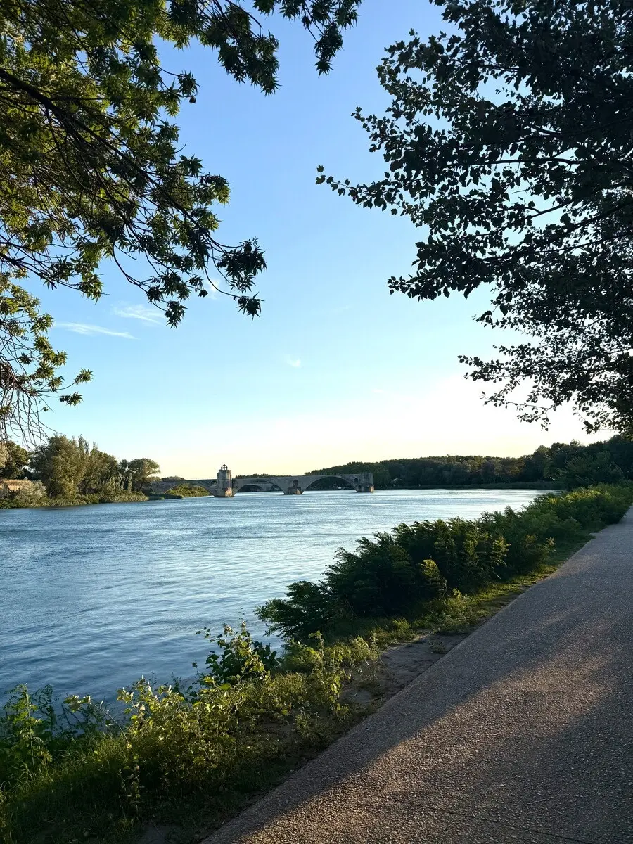 Ile de la Barthelasse
