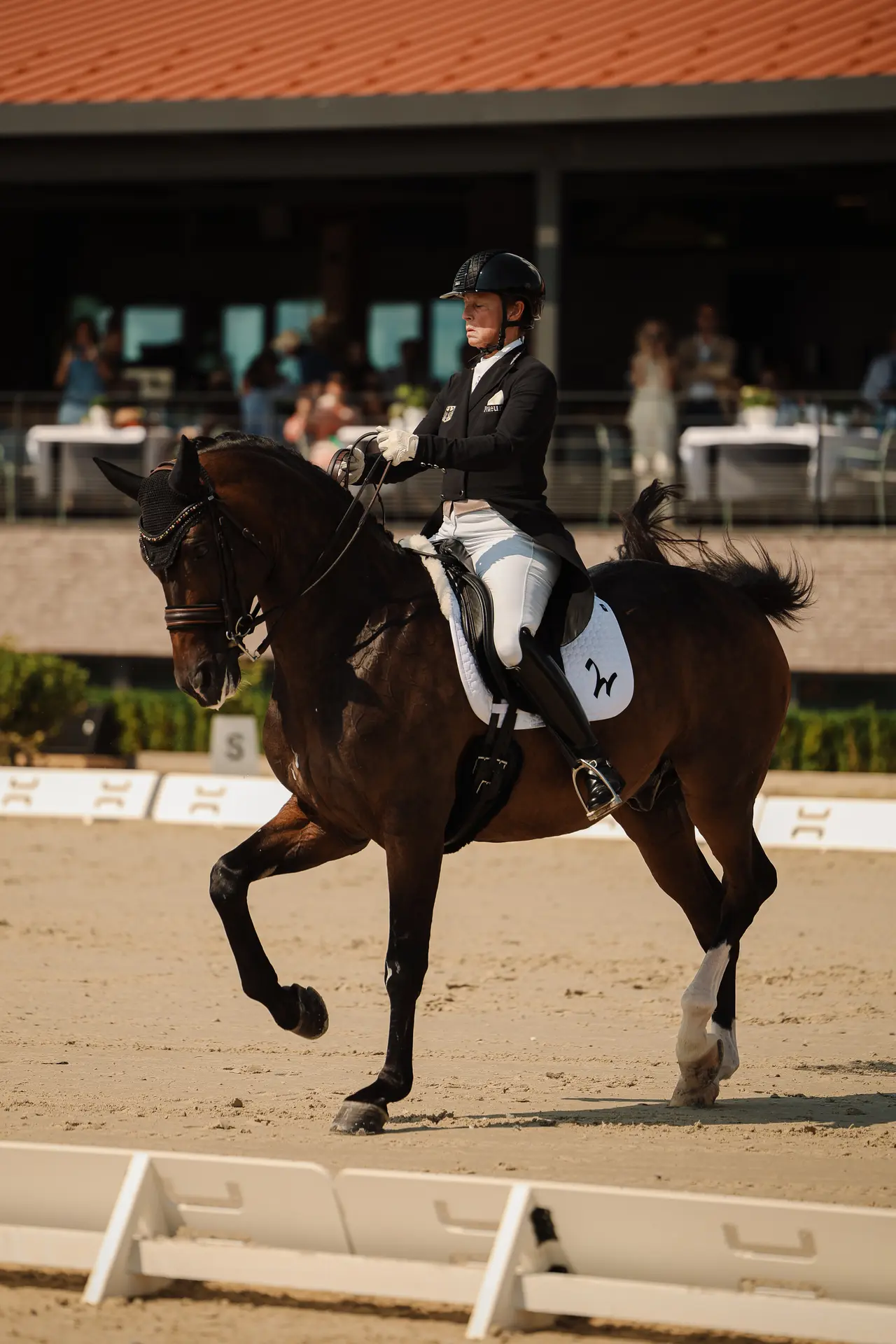Photo d'un cavalier